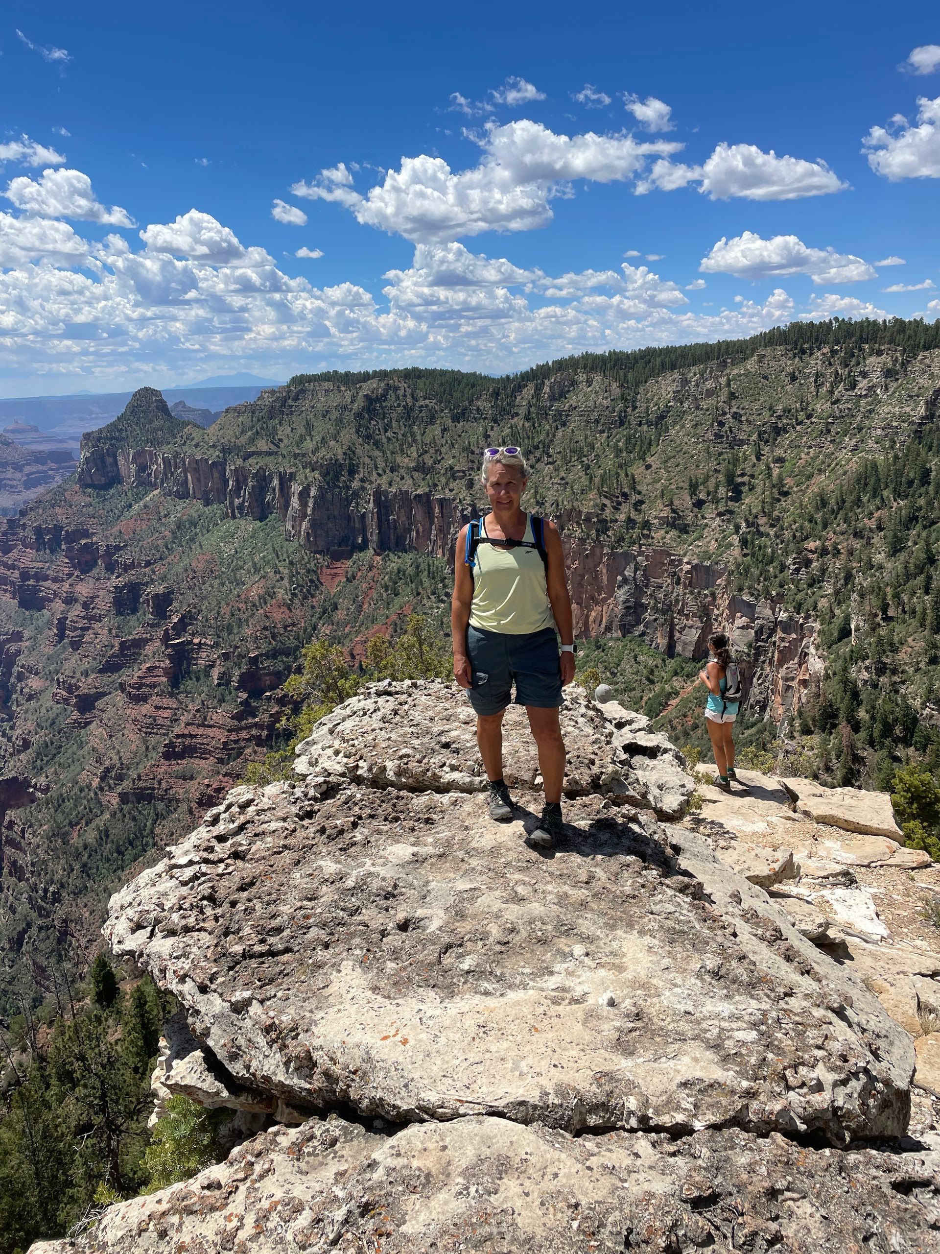 A man is standing on top of a rocky cliff overlooking a canyon.