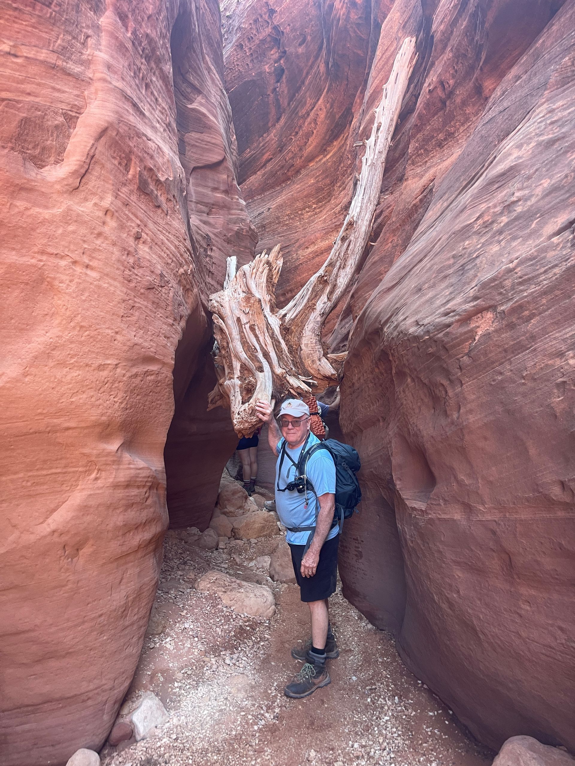 A man is standing in a canyon next to a tree stump.