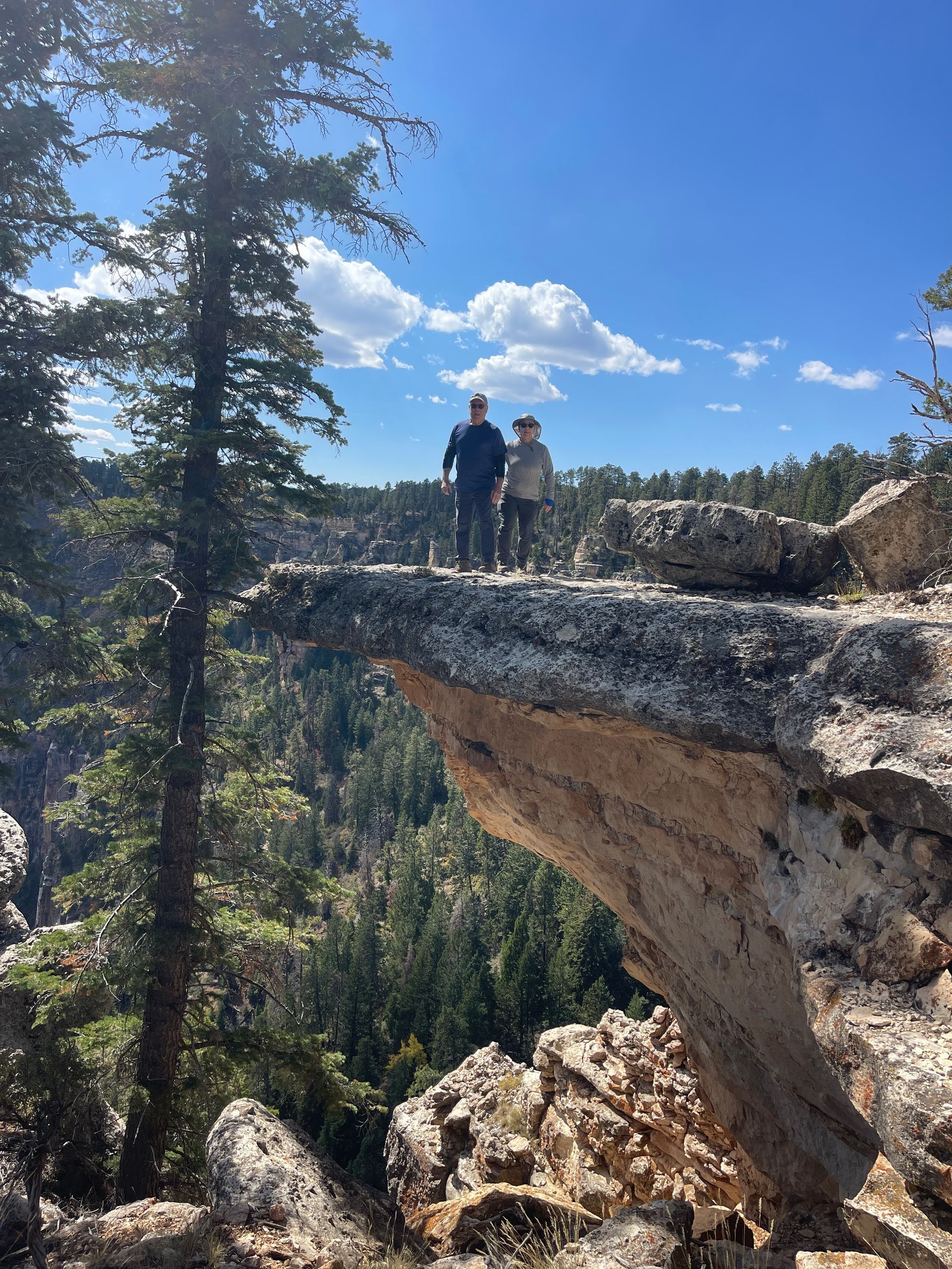 Two people are standing on top of a rocky cliff overlooking a forest.