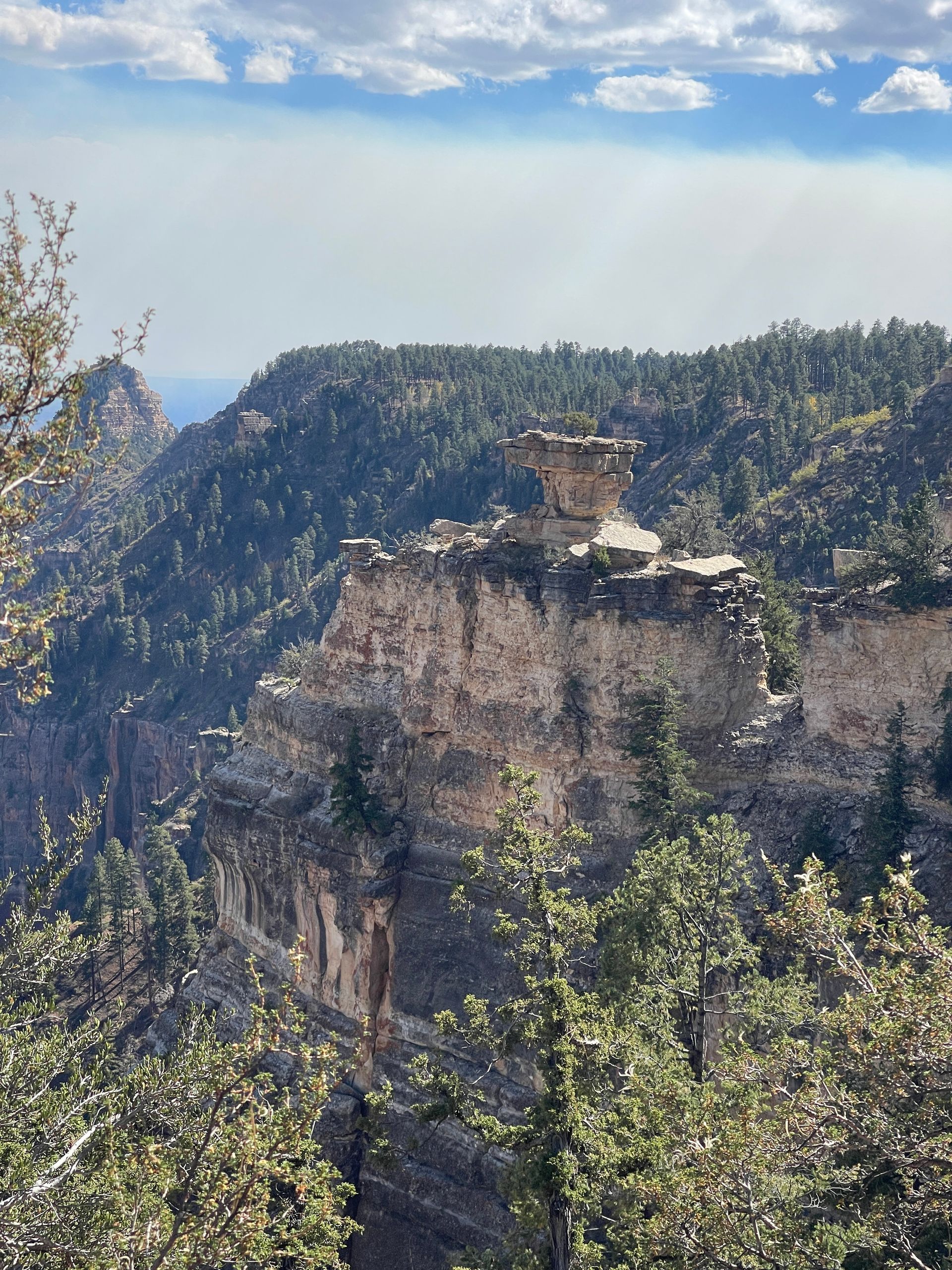 A view of a mountain covered in trees from a cliff.
