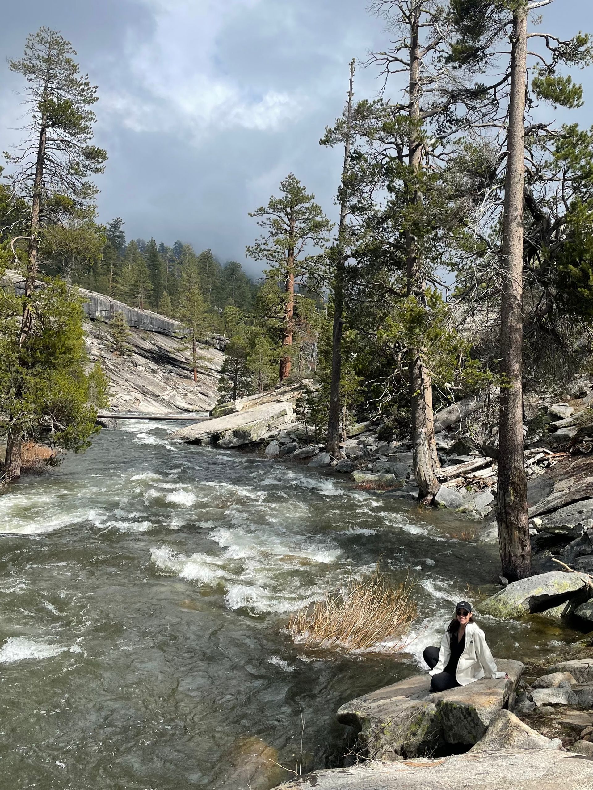 A river surrounded by trees and rocks in the middle of a forest.