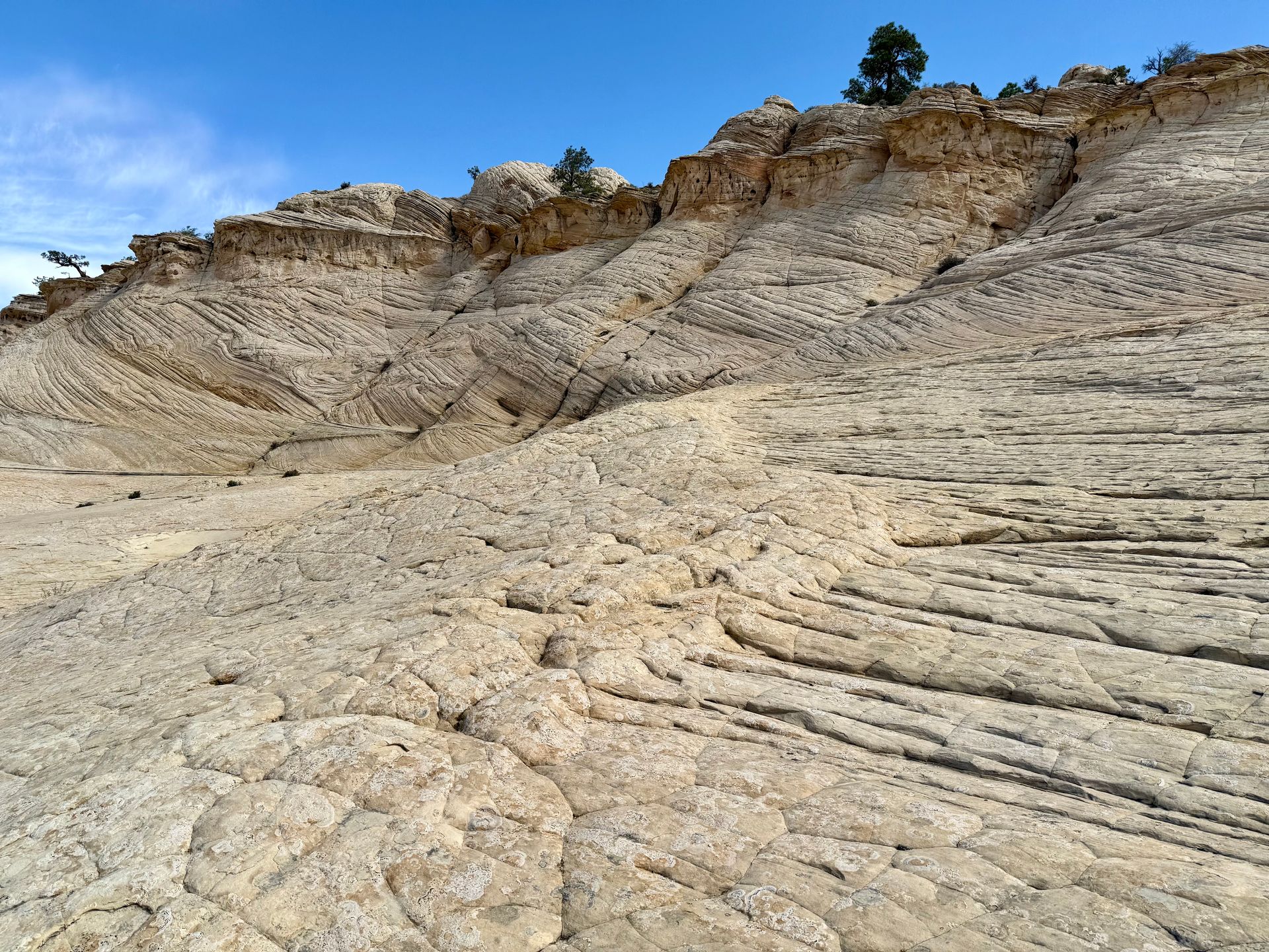 Eroded tan rock formations under a blue sky. The layered terrain slopes upward, with some small trees at the top.
