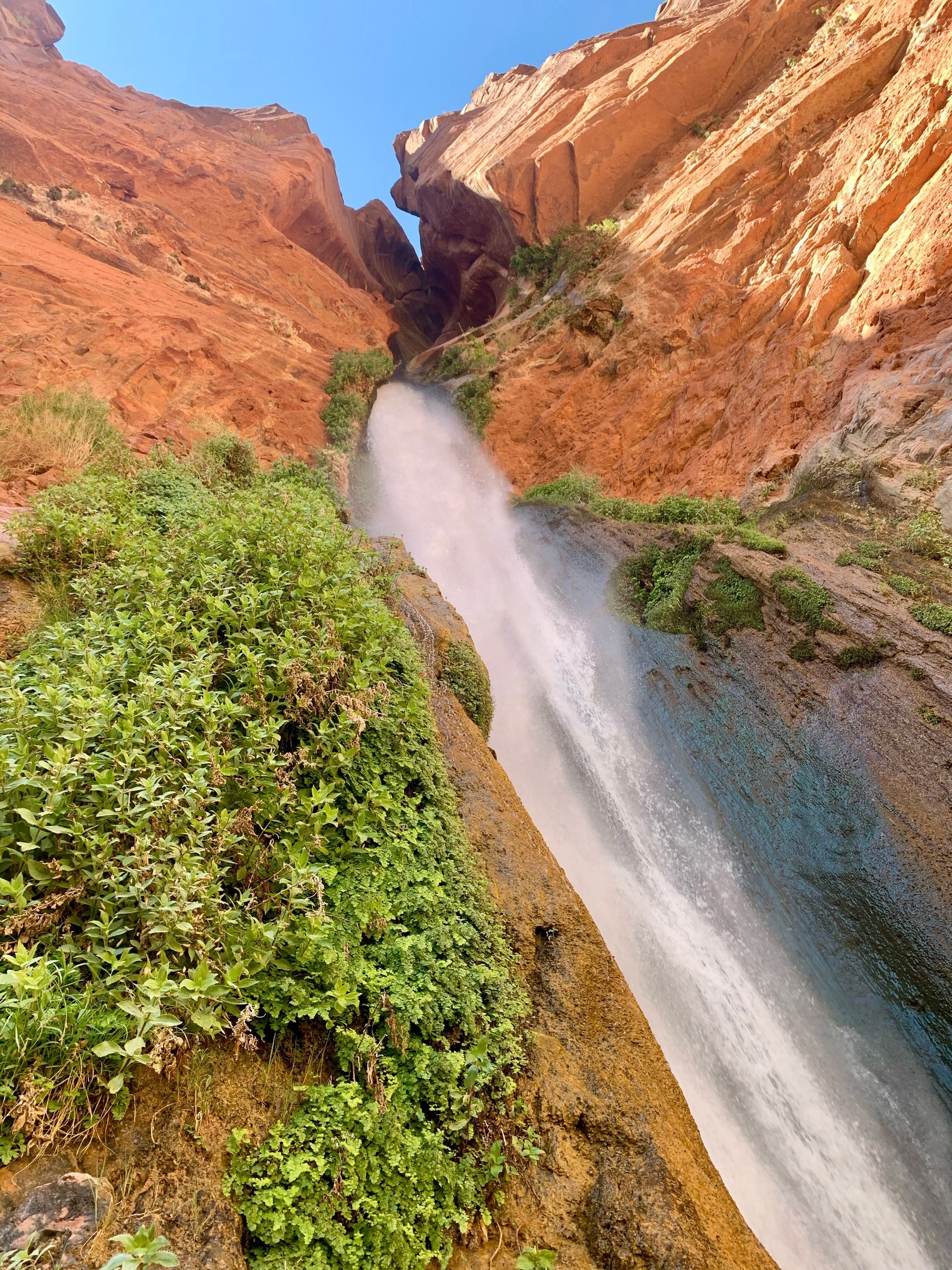 A waterfall in the middle of a canyon surrounded by green plants.