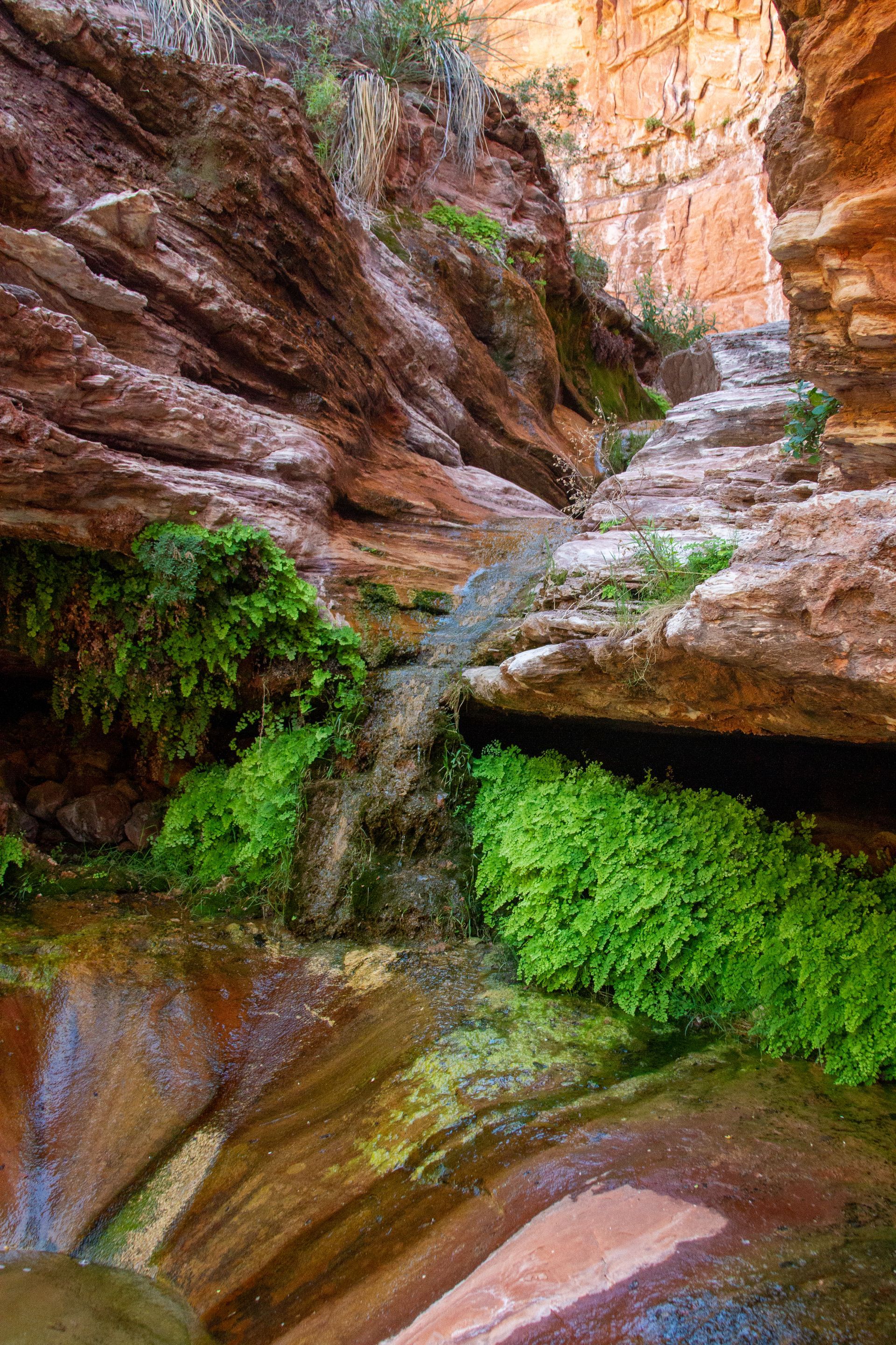 A waterfall in a canyon surrounded by rocks and plants.