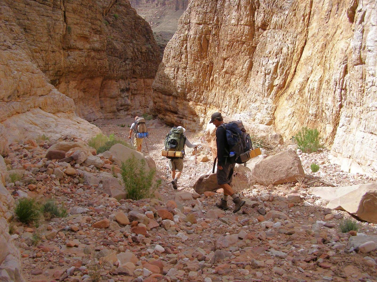Hikers walking through a rocky canyon with steep orange cliffs and sparse desert brush