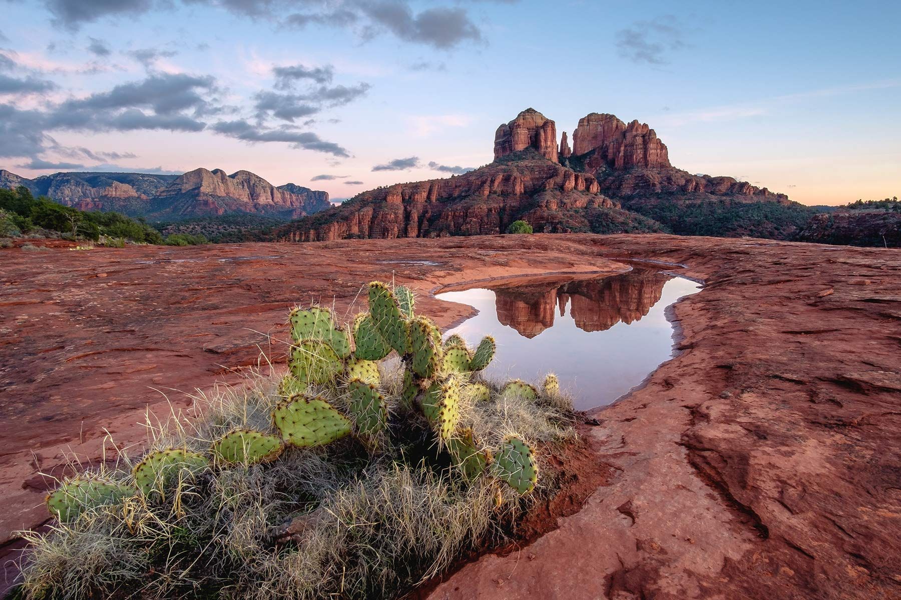 Red rock desert landscape with cacti and a reflective puddle at sunset