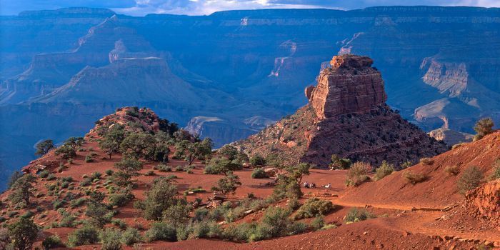 A view of the grand canyon from the top of a mountain.