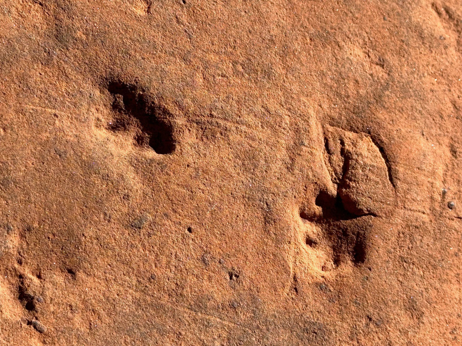 A close up of a rock with footprints in the sand.