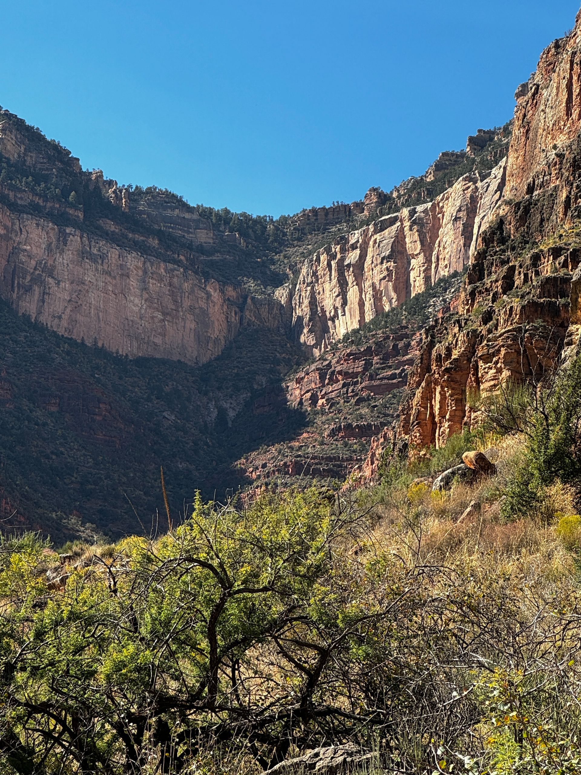 A valley with trees and mountains in the background