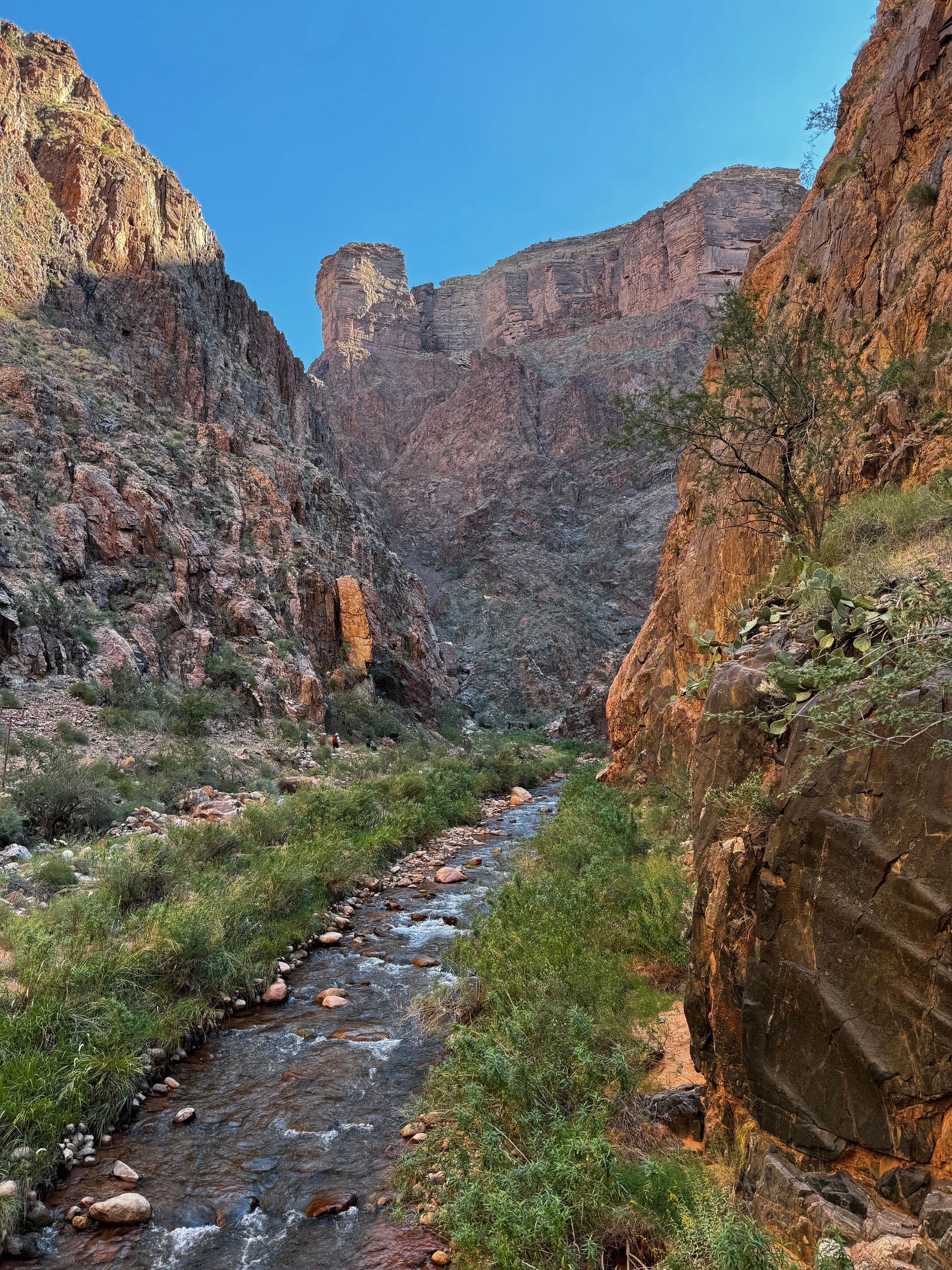 A river running through a canyon with mountains in the background