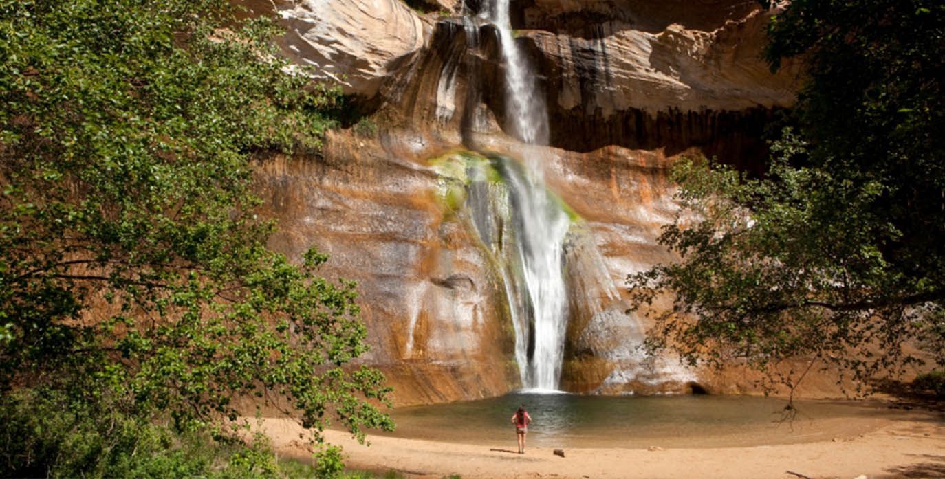 A Waterfall is Surrounded by Trees and a Sandy Beach