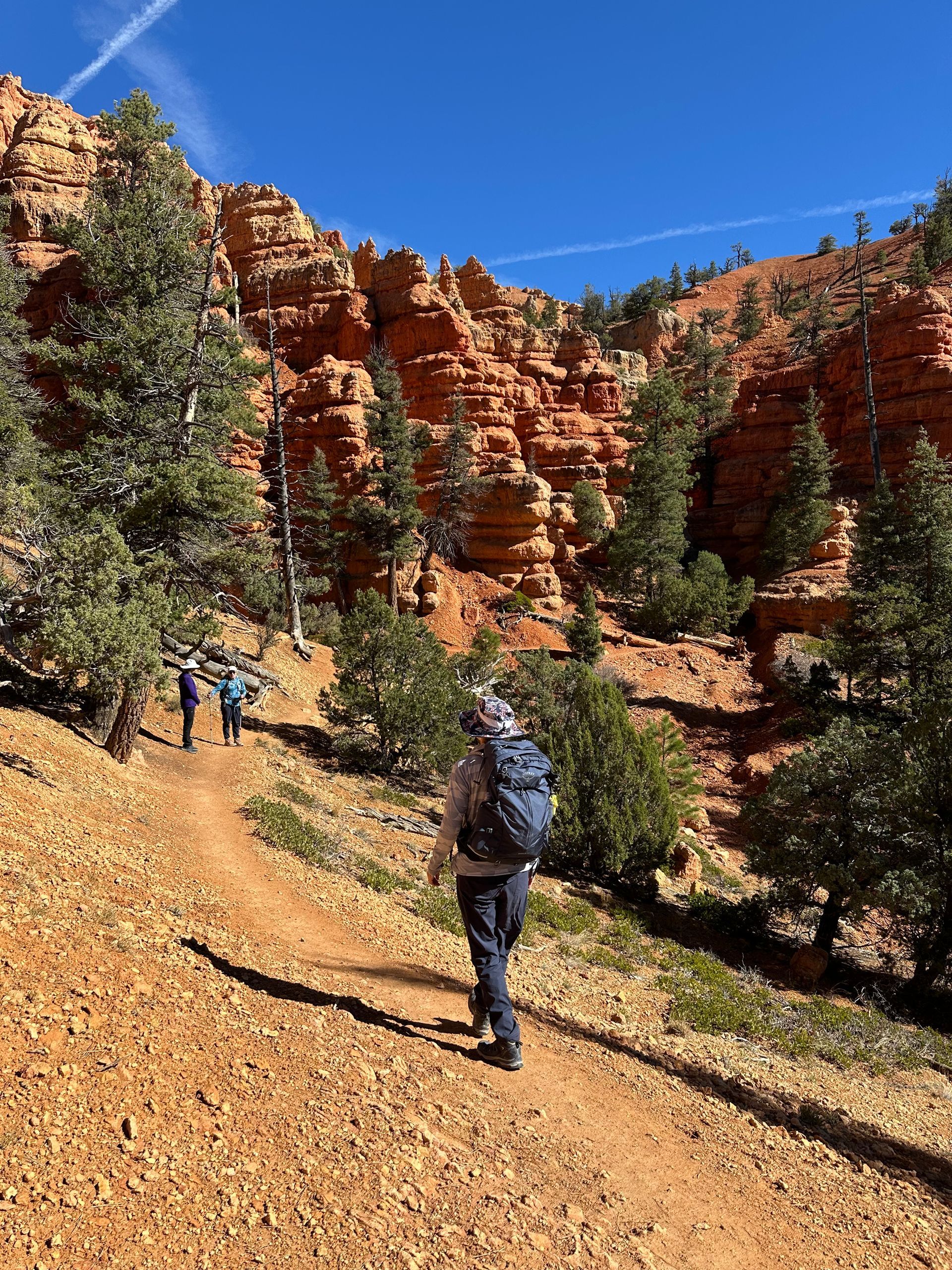 A man with a backpack is walking down a dirt path.