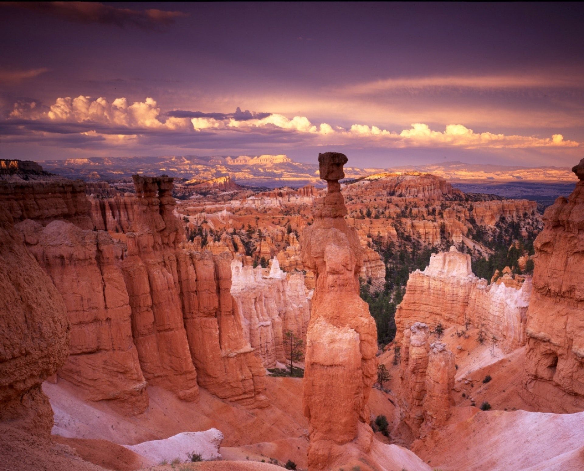 Sunset over Bryce Canyon, Utah, showcasing orange hoodoos and purple-hued sky.