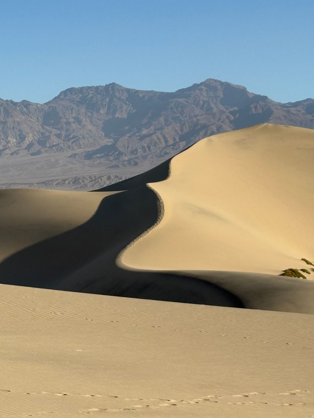 Sunlit sand dunes with sharp shadows, framed by distant, rugged mountains under a clear blue sky.