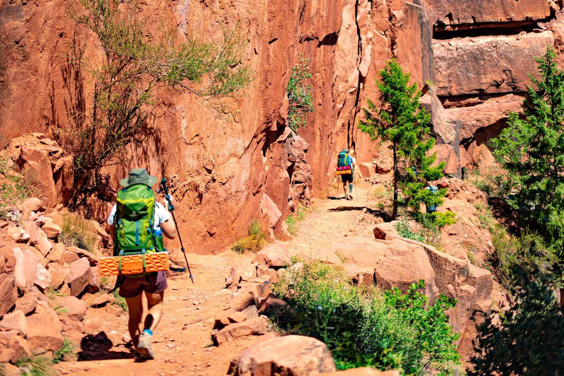 A group of people are hiking down a trail in the grand canyon.