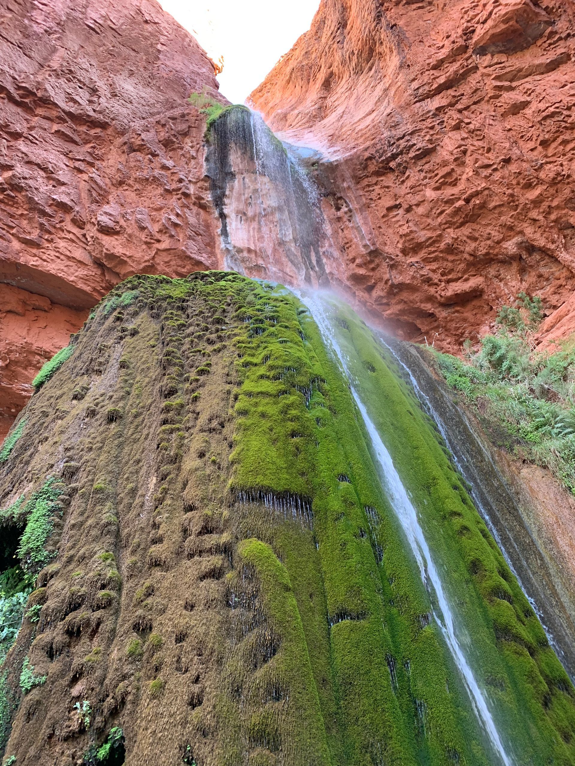 A waterfall in the middle of a canyon surrounded by moss and rocks.