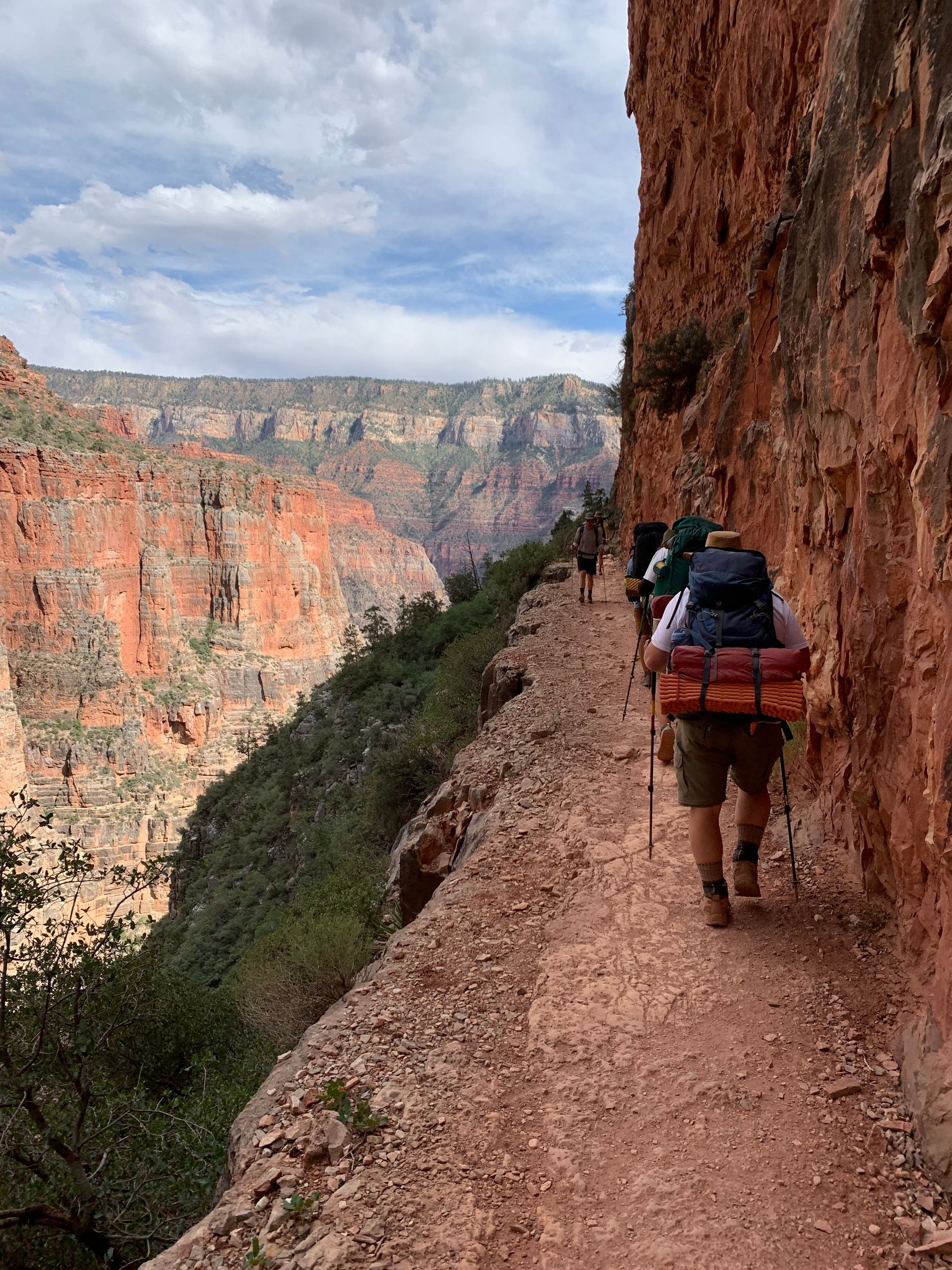 A group of people are hiking down a trail in the grand canyon.