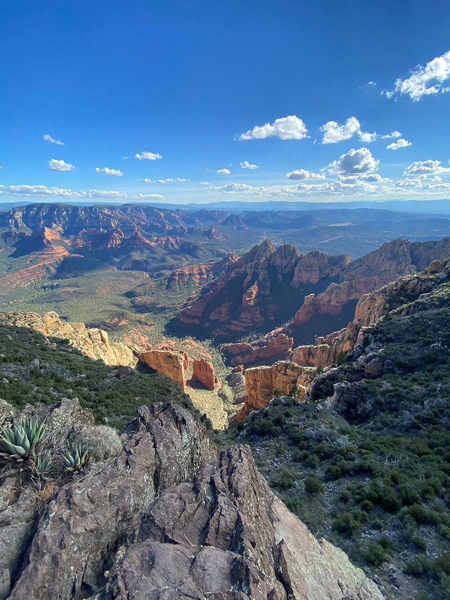 Grand Canyon vista with red cliffs, green forest, and bright blue sky with scattered clouds