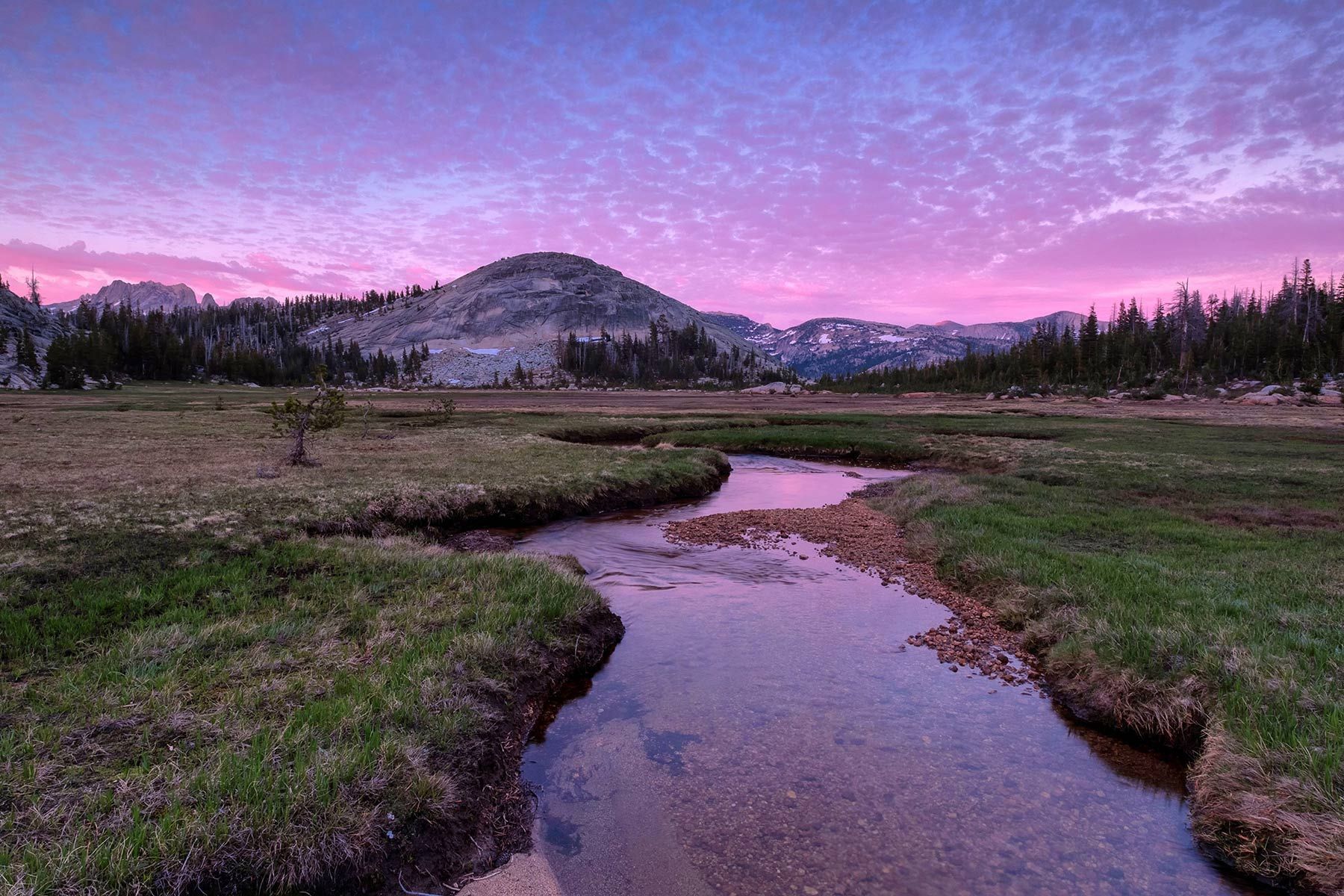 Pink sunrise clouds over a winding creek in a Yosemite high-country meadow