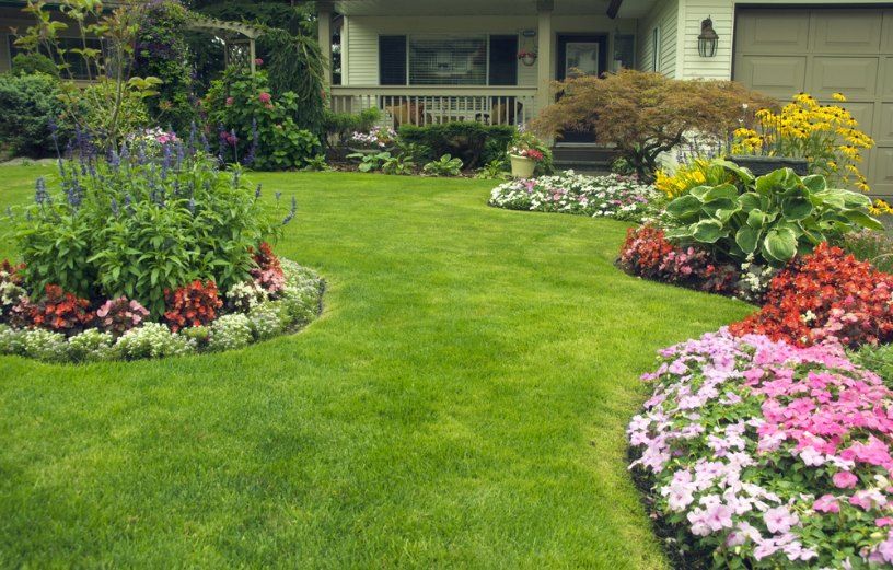 A Lush Green Lawn With Flowers in Front of a House — Turnscape Landscaping in Mudgeeraba, QLD