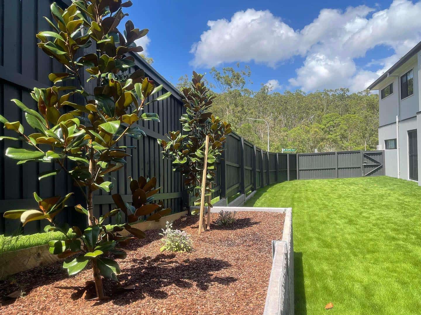 A backyard with a fence and a lush green lawn. — Turnscape Landscaping in Hope Island, QLD