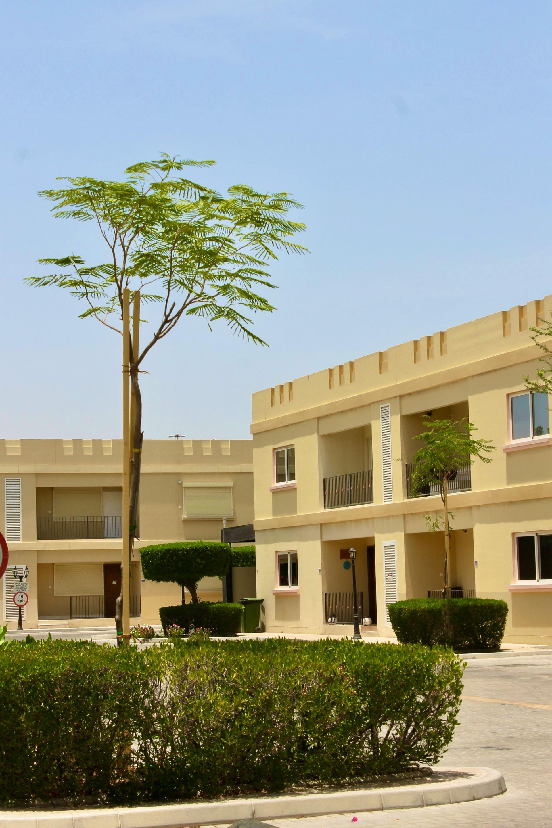 A large building with a tree in front of it
