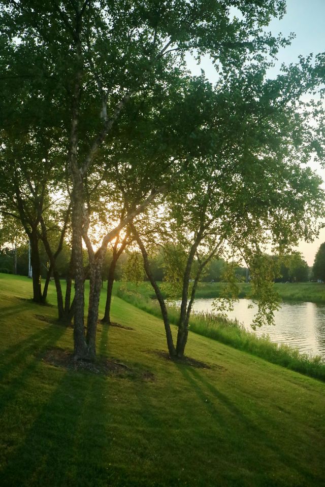 Sunlit park with trees, grassy slope, and a calm river at dusk