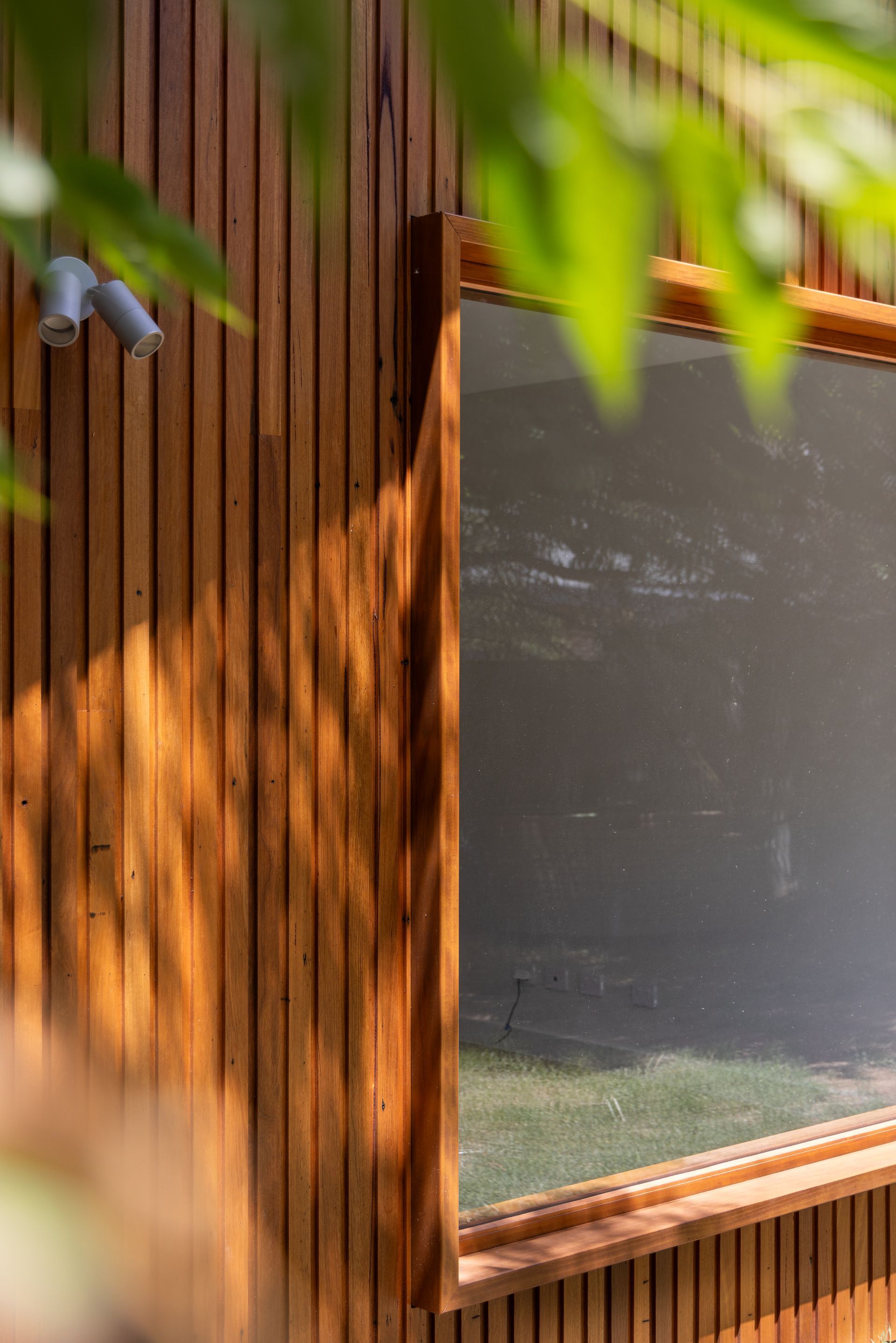 Wooden wall with a window, dappled sunlight, and blurred green leaves in the foreground