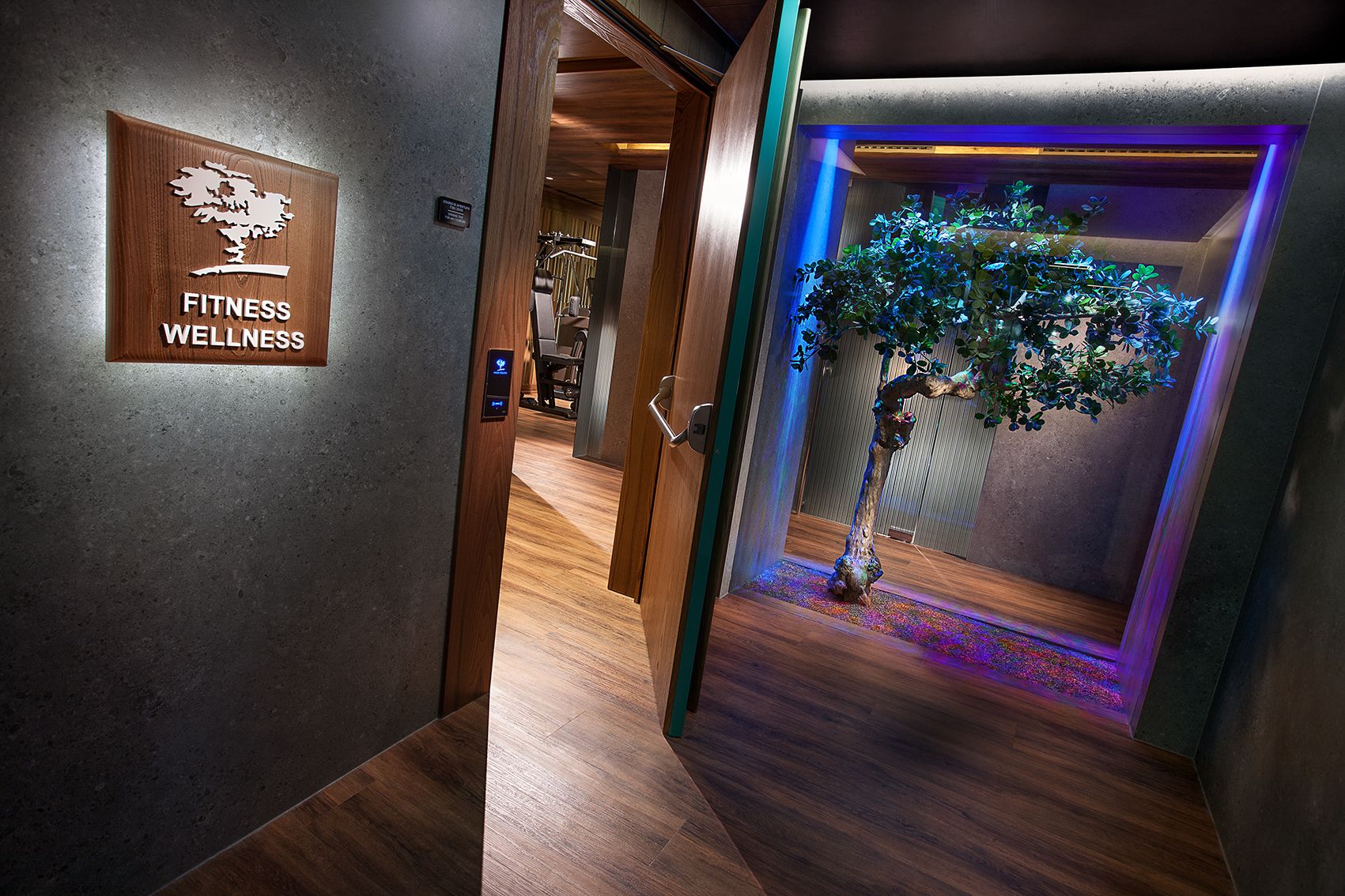 Вход в фитнес-центр с деревянной дверью, композиция из деревьев за стеклом и теплым, рассеянным освещением.