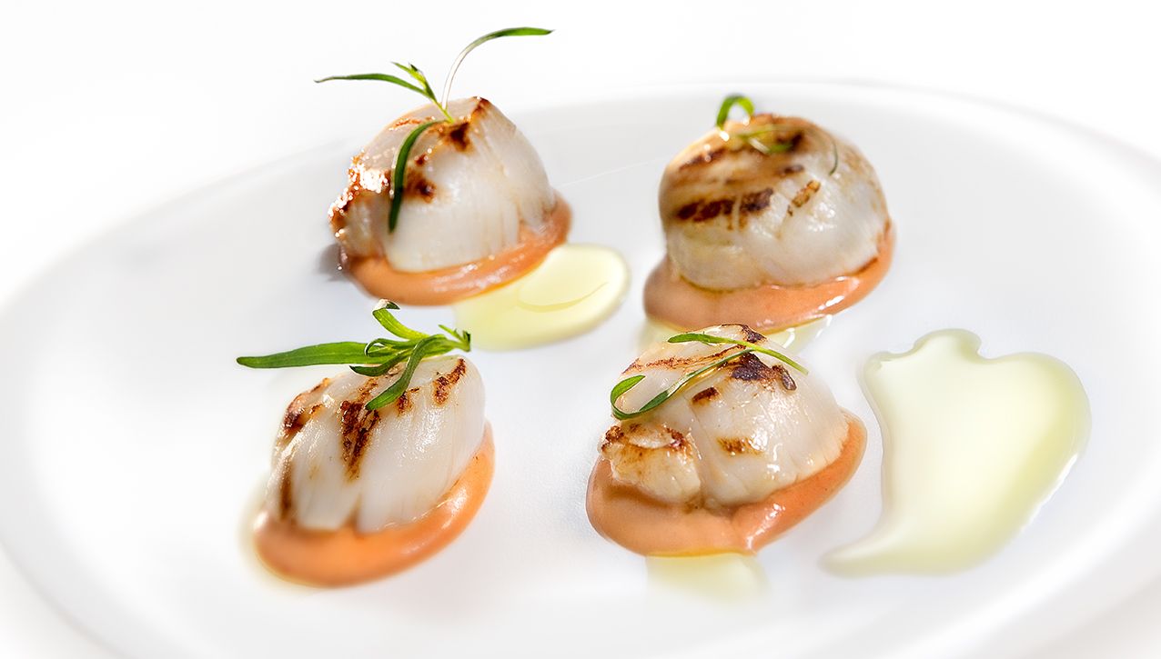 Четыре обжаренных морских гребешка, выложенные на белой тарелке на подушке из оранжевого соуса с бледно-желтым жиром.