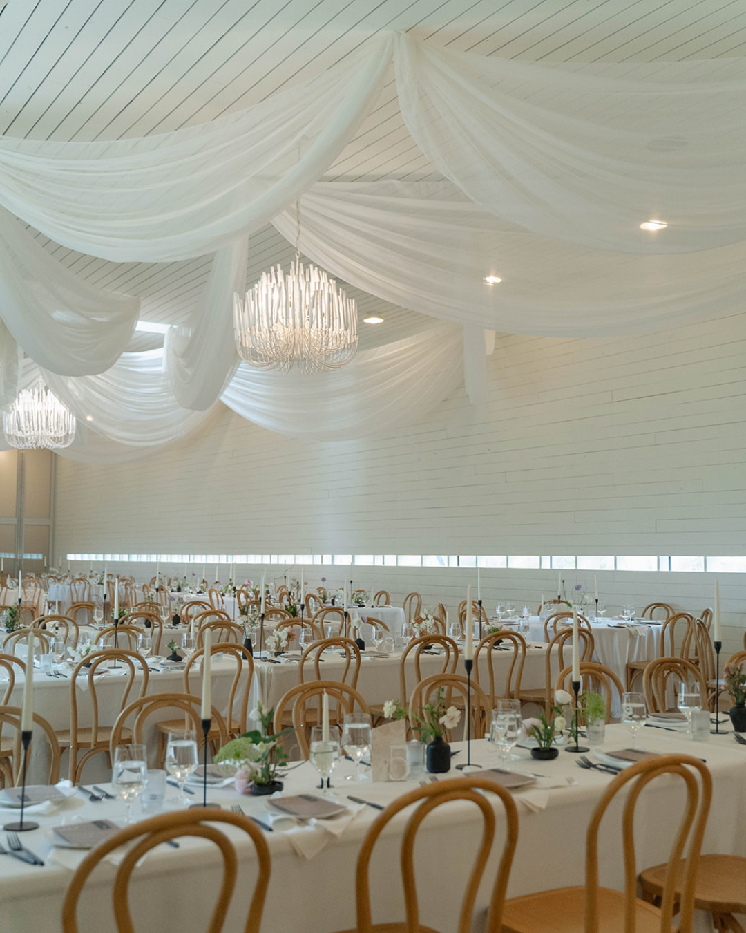 Elegant banquet hall with white draped ceiling, crystal chandeliers, and rows of round tables and gold chairs.