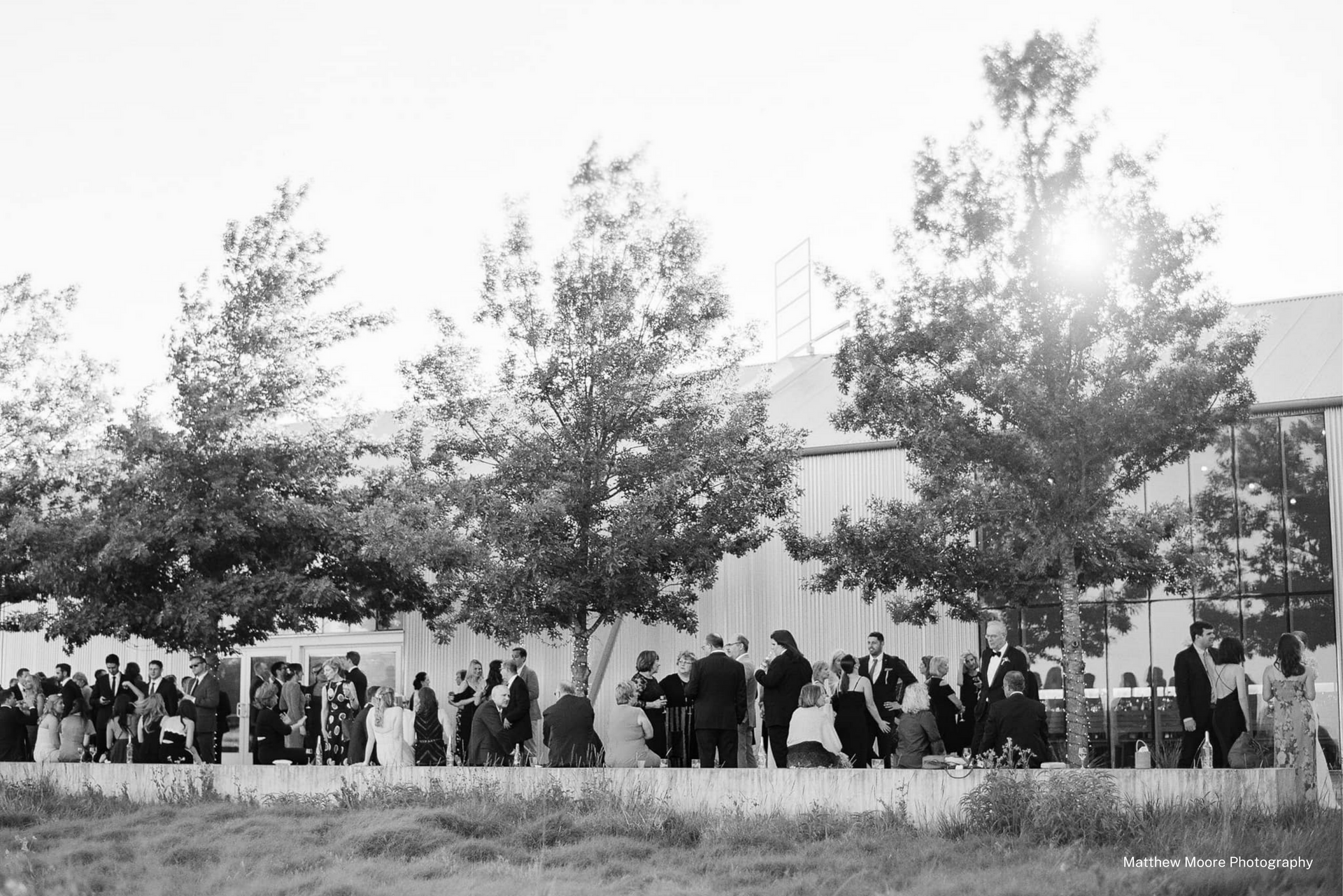 A black and white photo of a group of people standing on the side of a building for a wedding cocktail hour surrounded by tall trees wrapped in market lights.