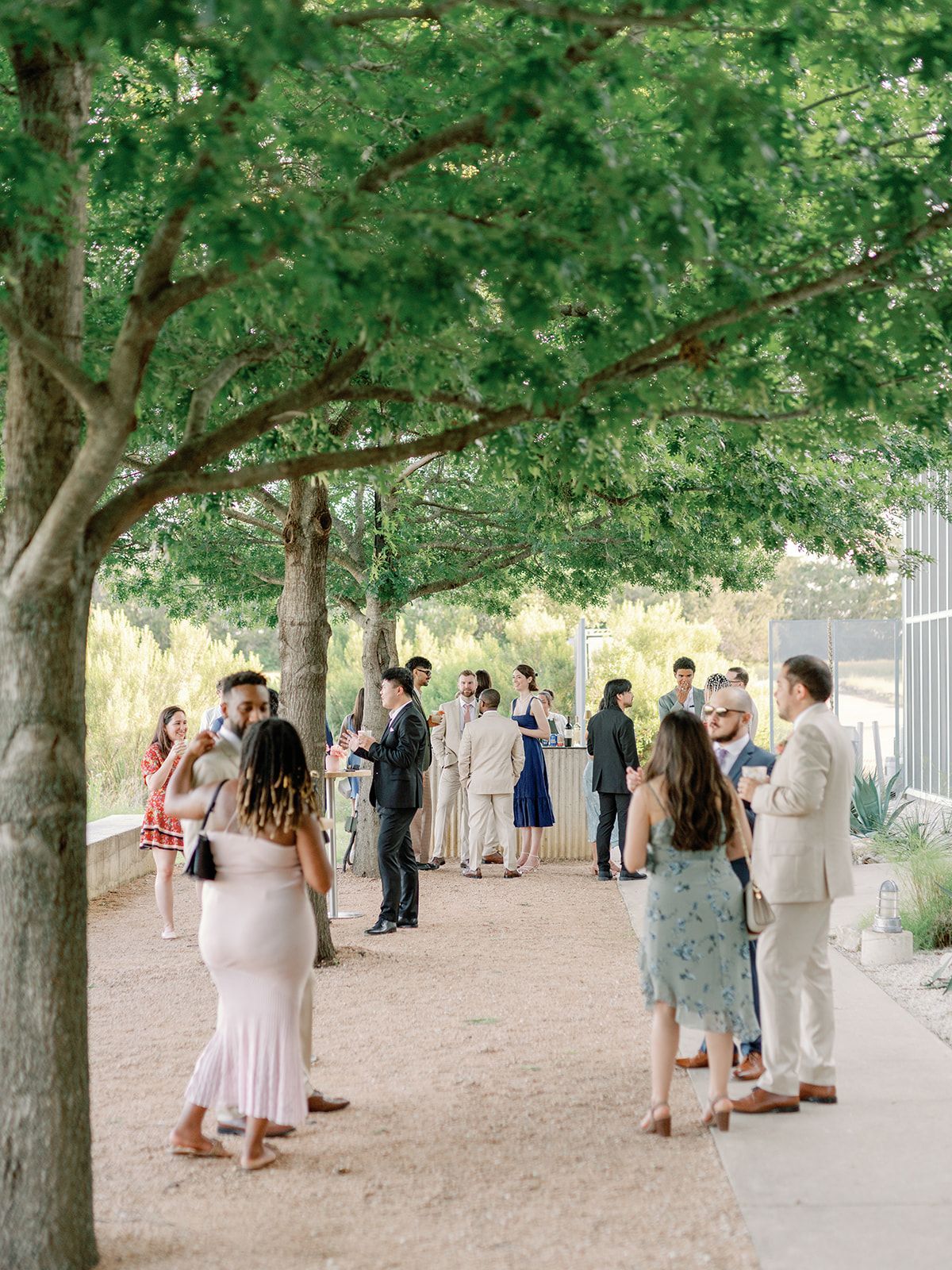 Guests mingle under a tree. People in semi-formal attire, some with drinks, in a garden setting.