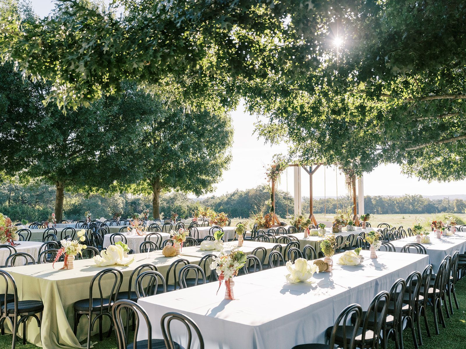 Outdoor wedding reception in The Texas Hill Country with long banquet tables under large trees, featuring white linens and floral centerpieces.