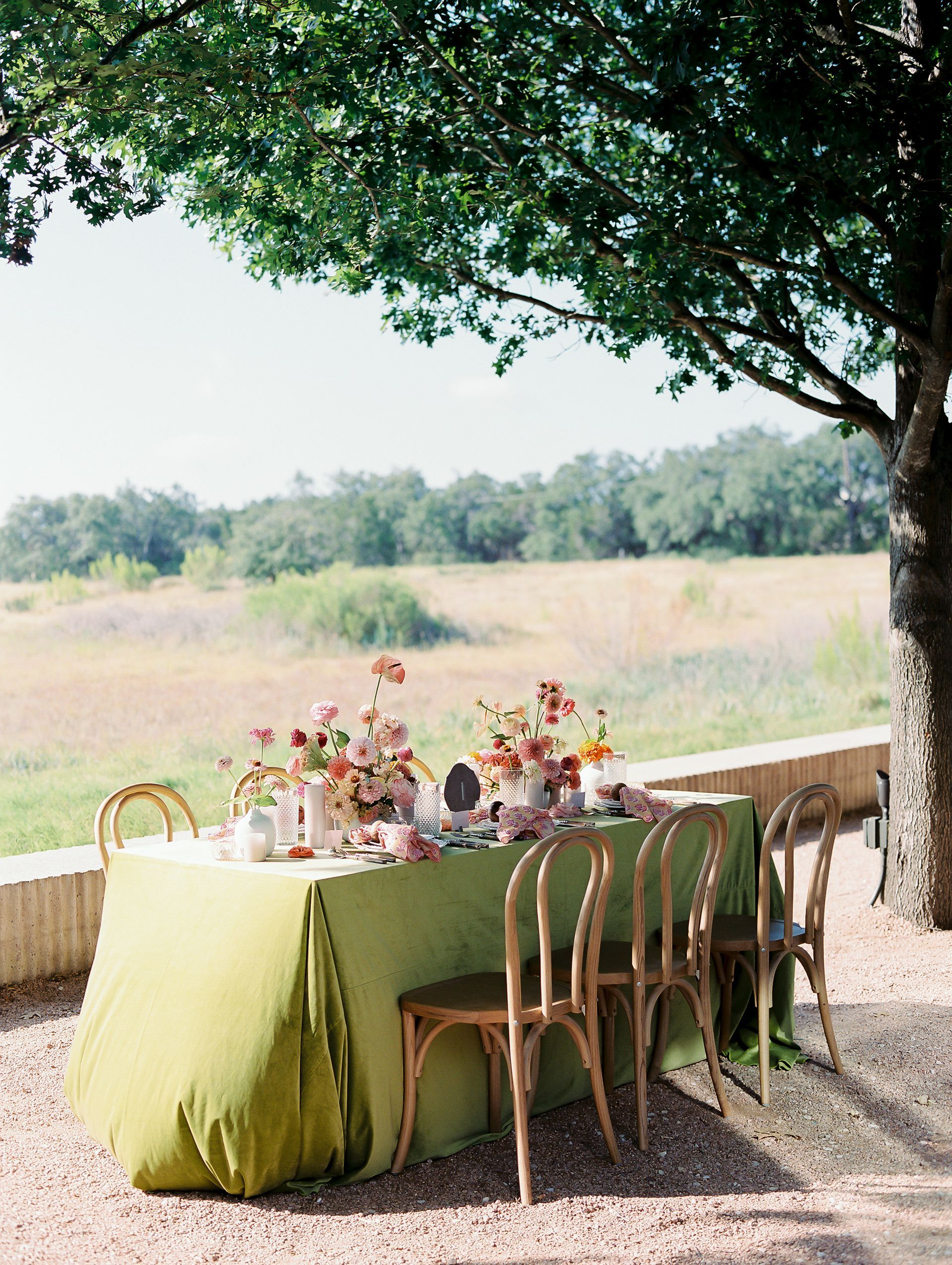 A table with a sage green tablecloth set for a meal under a large tree, overlooking a grassy field.
