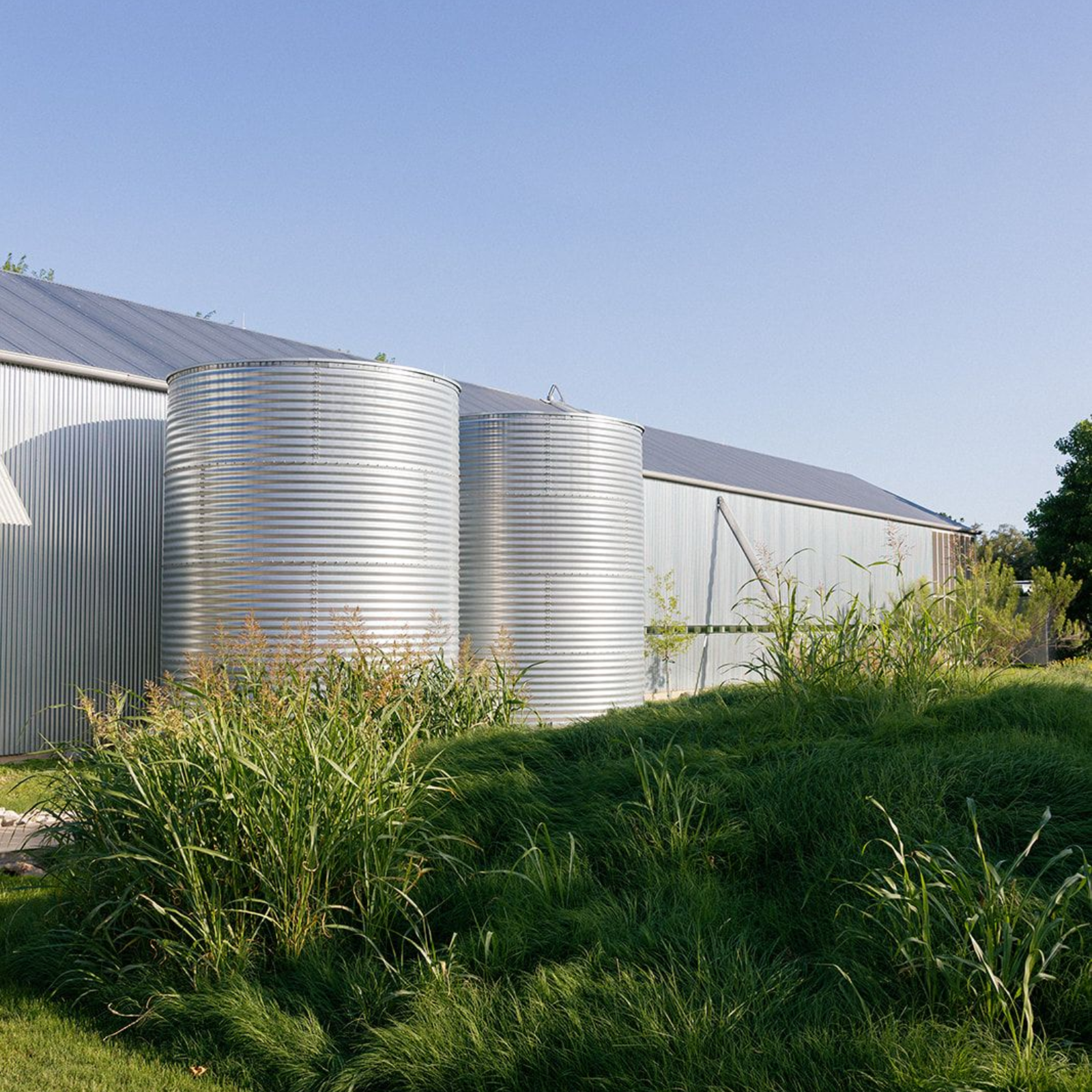 Two large, corrugated metal grain silos stand next to a long metal building under a clear blue sky, surrounded by tall grass.