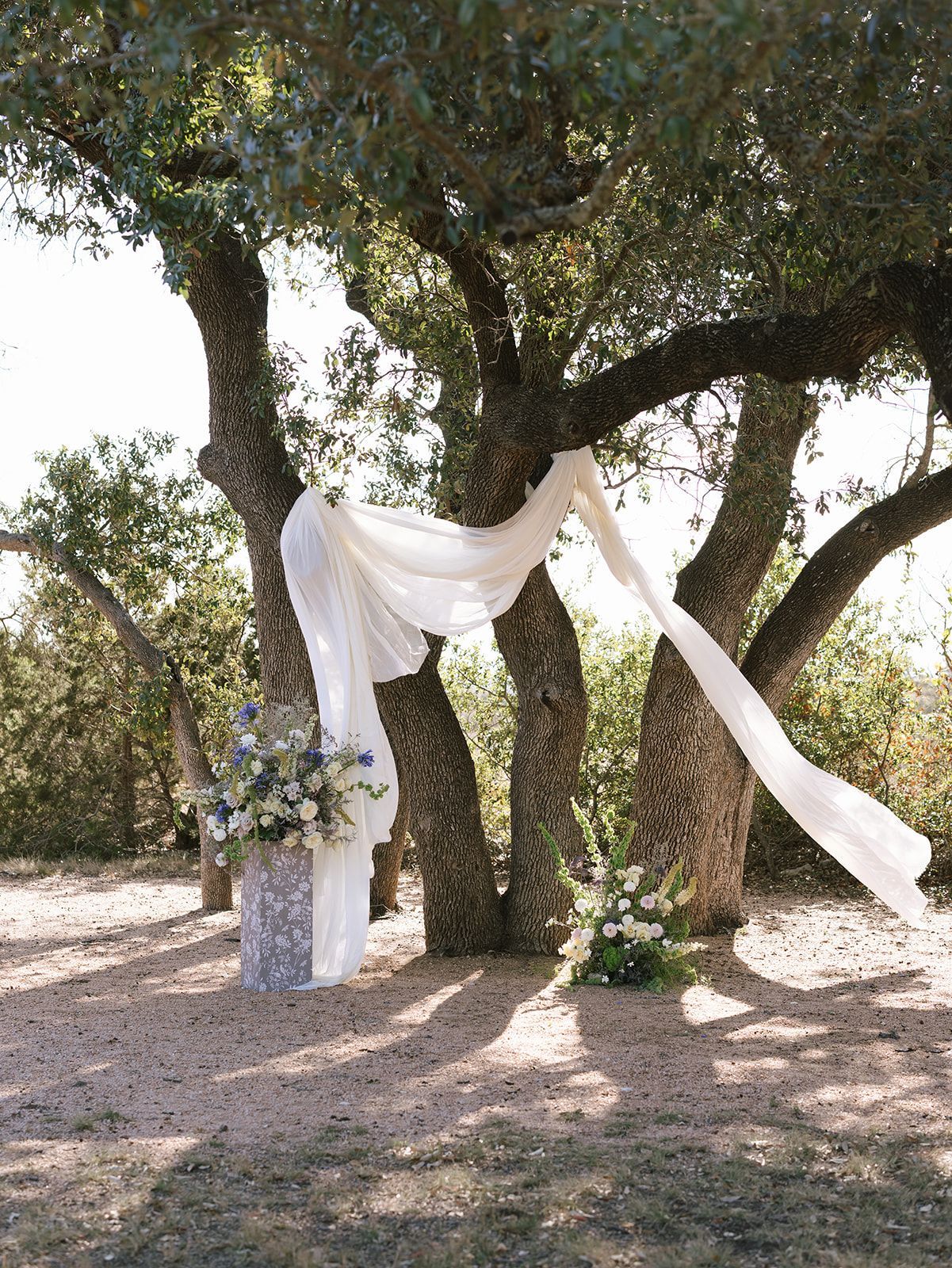 A wedding arch made of white draped fabric hung between two large, textured trees with floral arrangements on the ground.