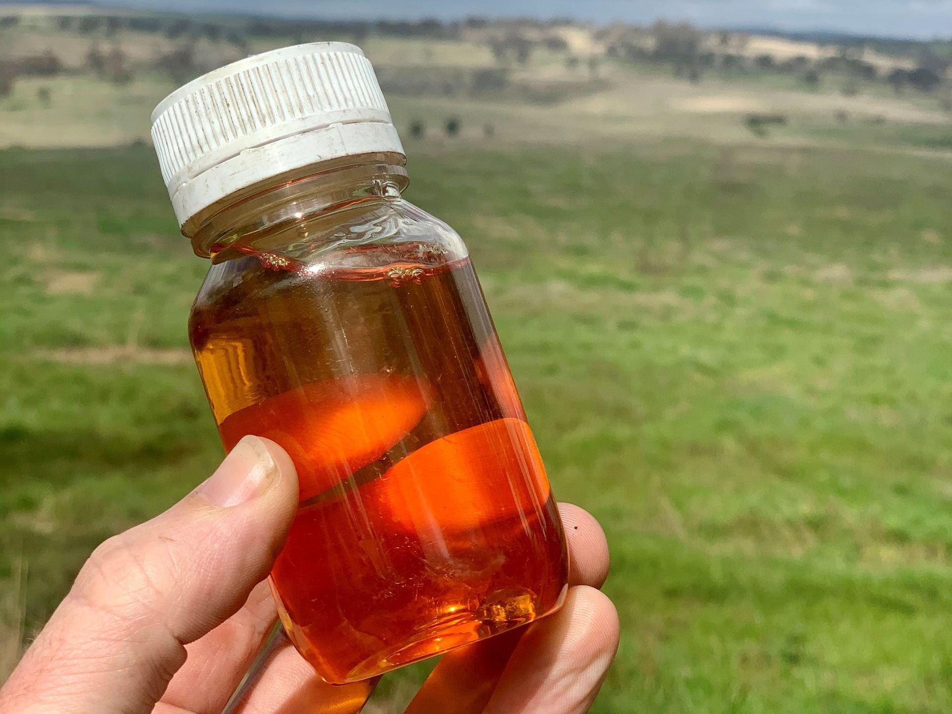 BioDiesel Solutions