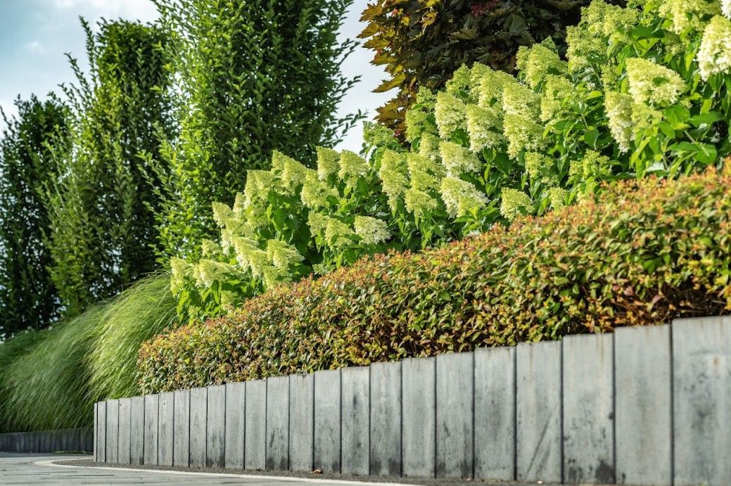 Stone barrier with varying green and red-toned plants and flowers, with a backdrop of trees.