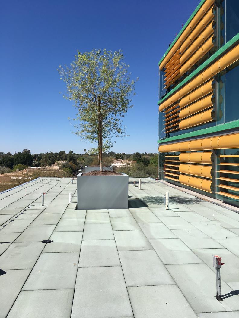 Custom-Color Fiberglass Planters | Scottsdale, AZ | Sonoran Stonecrete