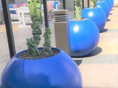 Row of large, blue spherical planters with cacti; gray building and fence in the background.