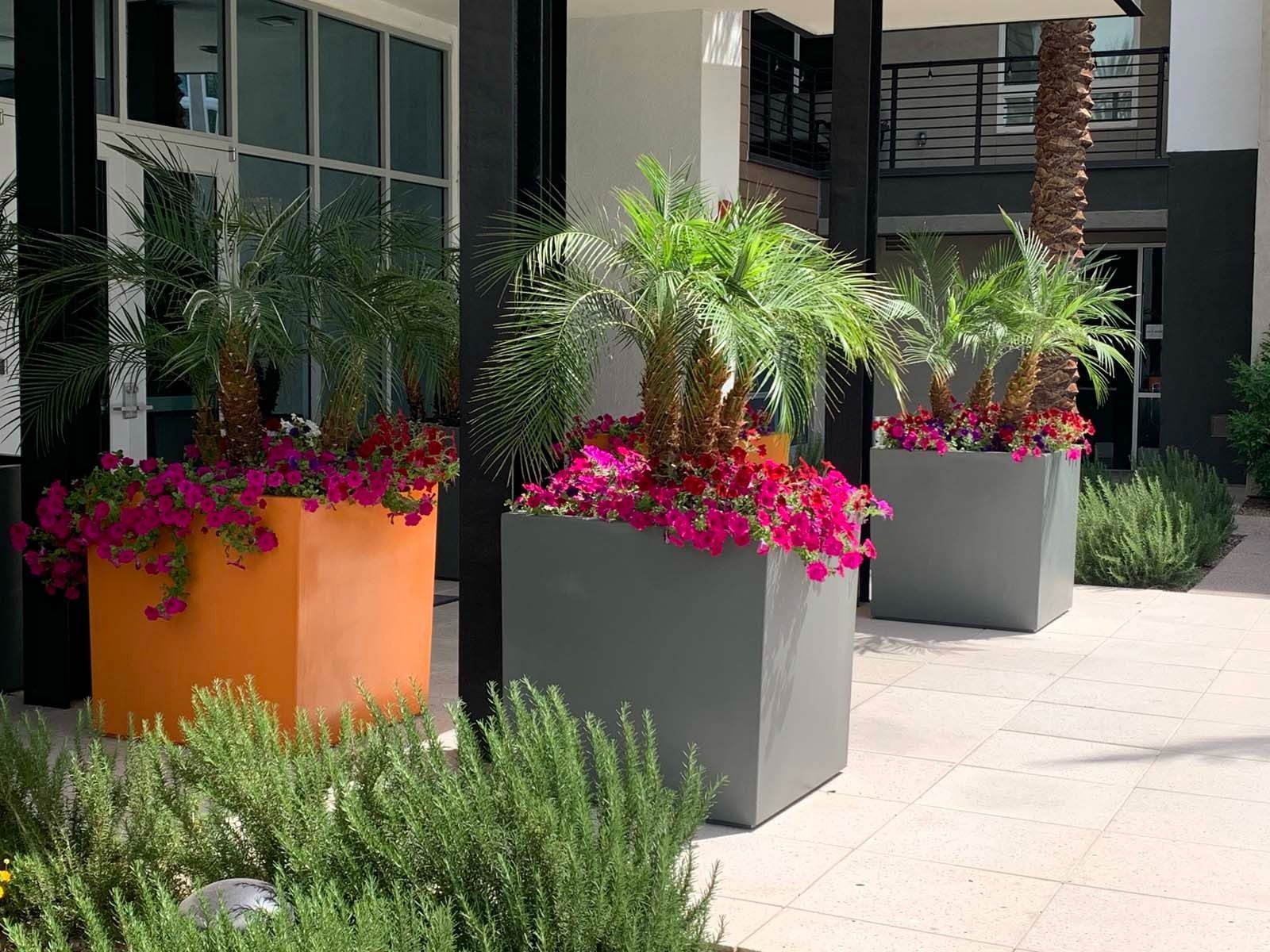 Colorful planters with palms and pink flowers outside a modern building.