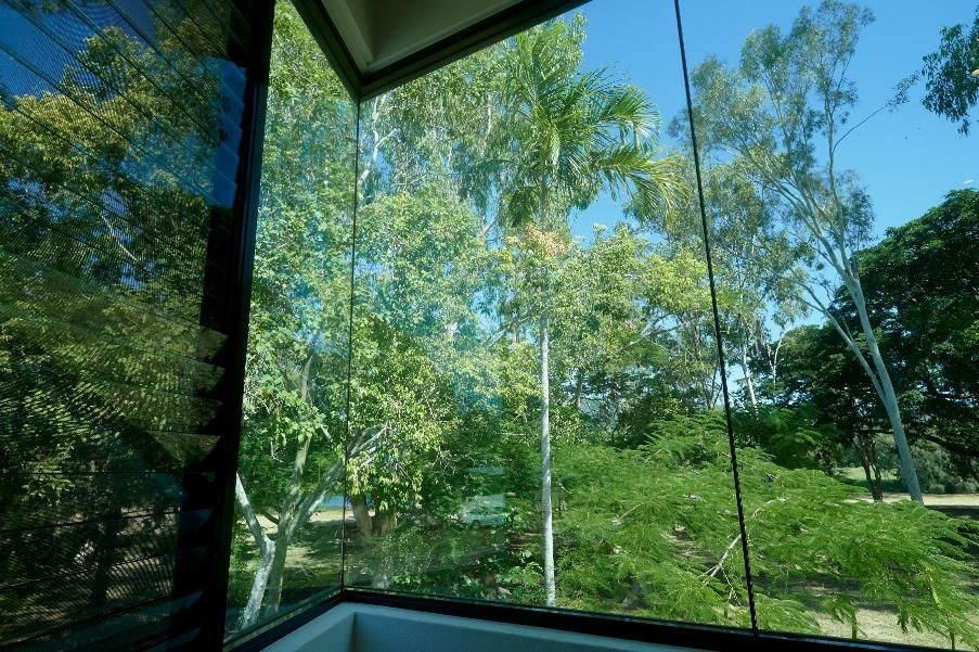 A Window With a View of Trees and a Blue Sky — Pro-Jax Pty Ltd in Bohle, QLD