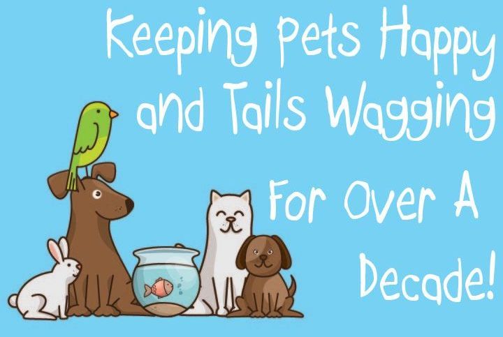 Illustration with all types of animals  that says keeping pets happy and tails wagging for over a decade!