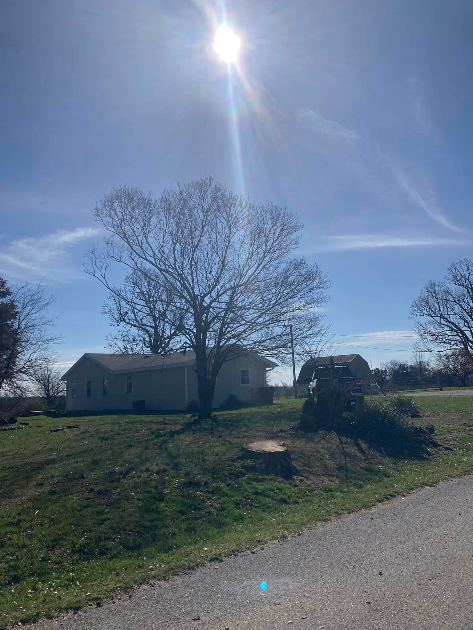 Sunny rural yard with a small house, leafing tree, and gravel road under a bright blue sky