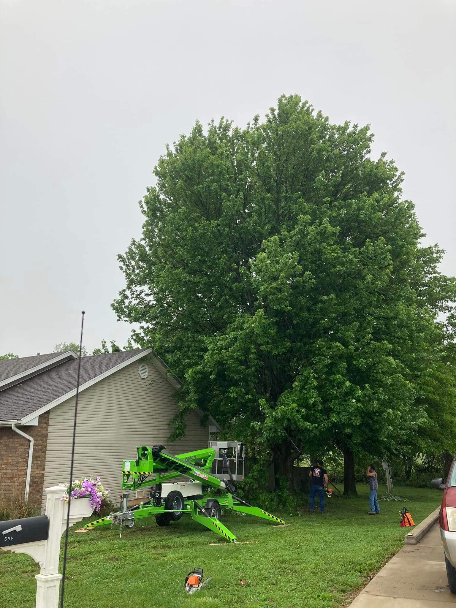 Large green tree beside a house, with a fallen bright green ride-on mower on a grassy yard.