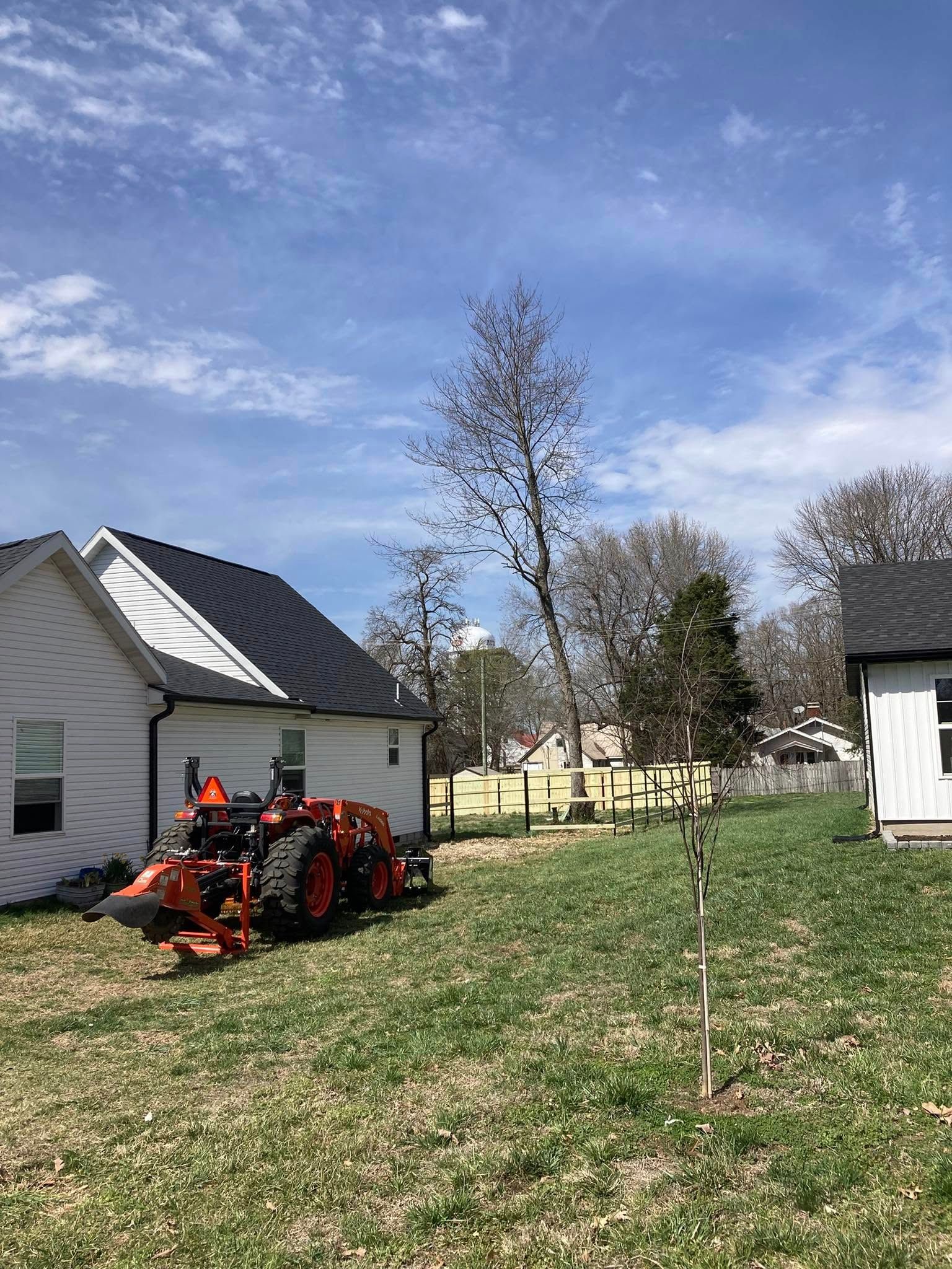 Small tree in a yard beside a house, with a tractor and clear blue sky.
