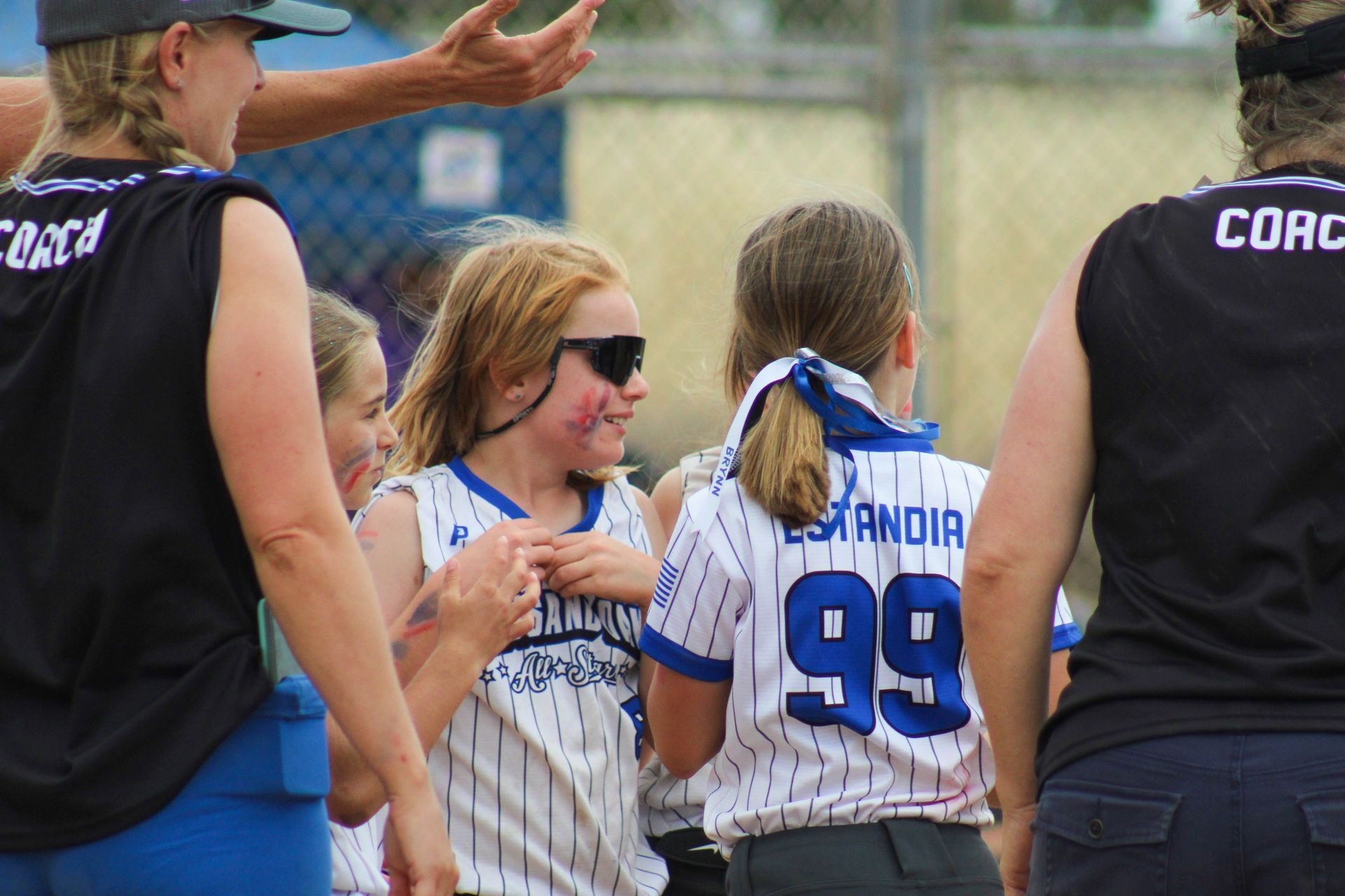 coaches