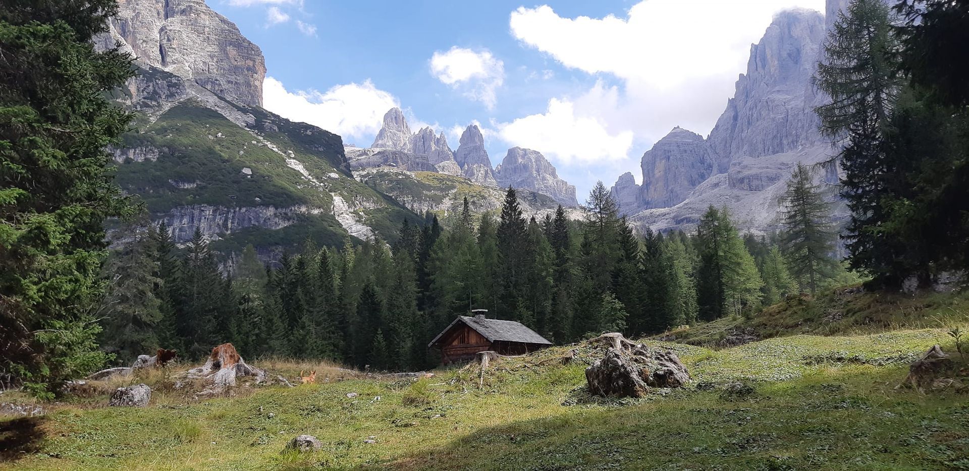 ALBORETO TRAVEL