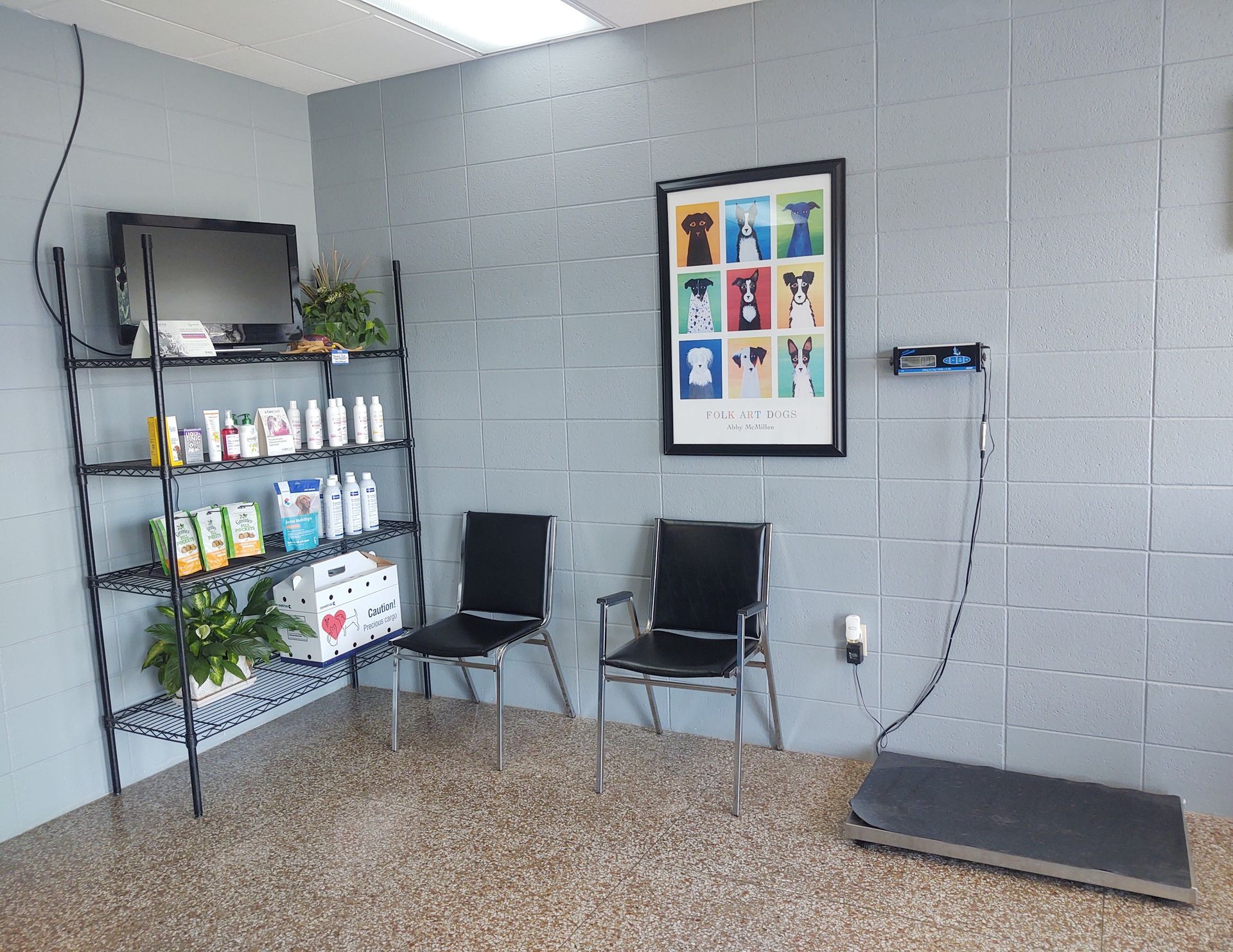 Waiting Room Of Clinic | Springfield, MO | North Side Animal Clinic